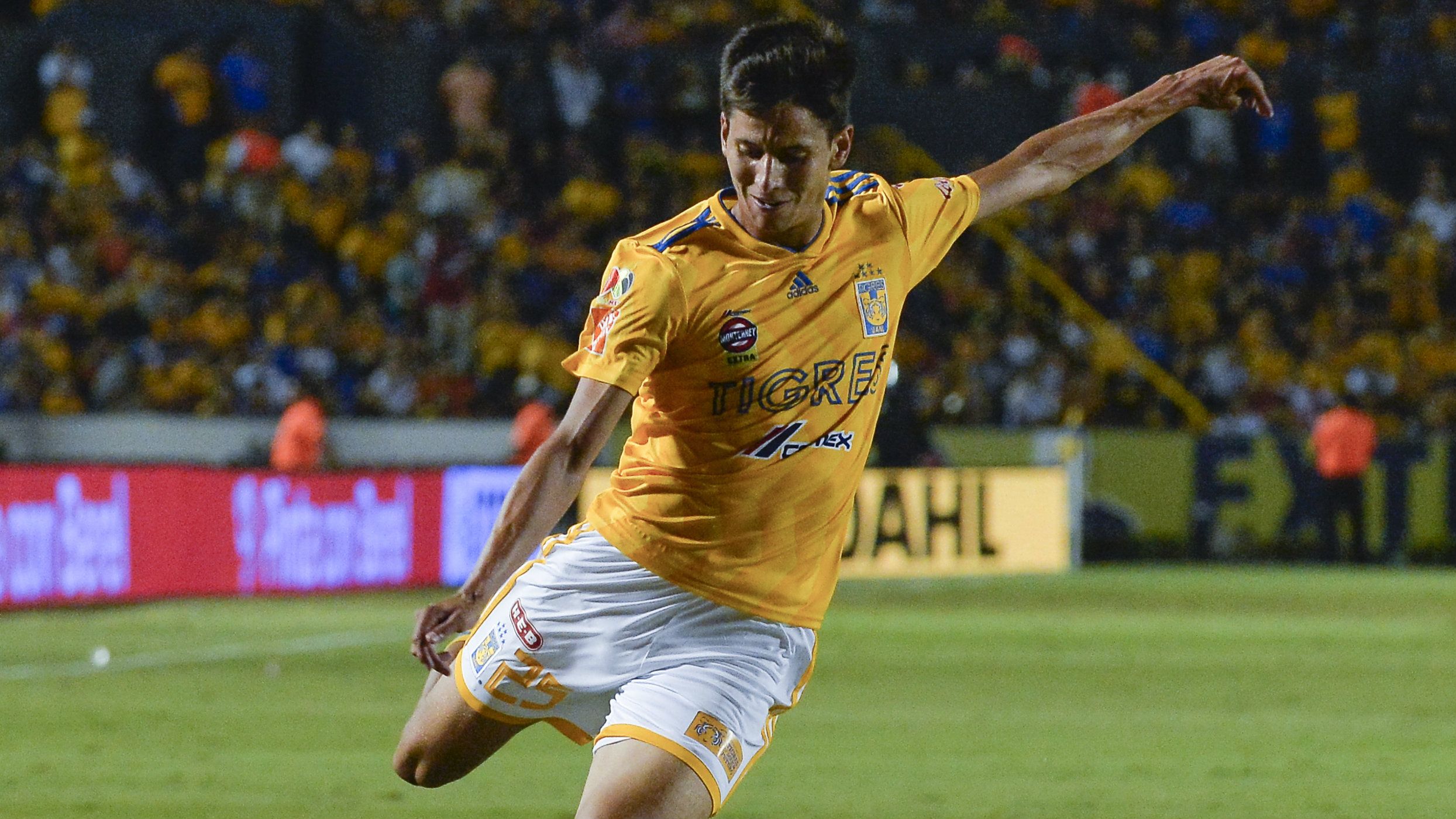 Jürgen Damm Tigres 310818