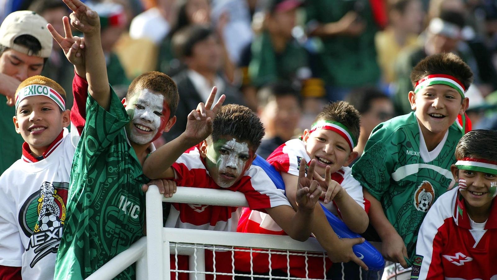 Mexico national team fans