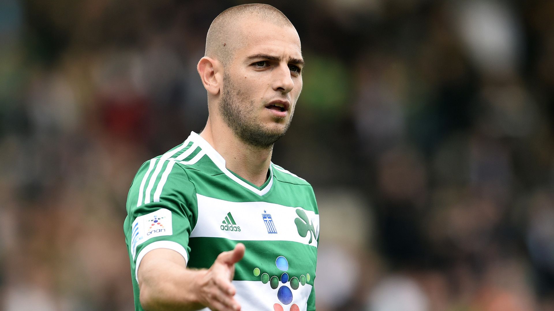 MLADEN PETRIC
