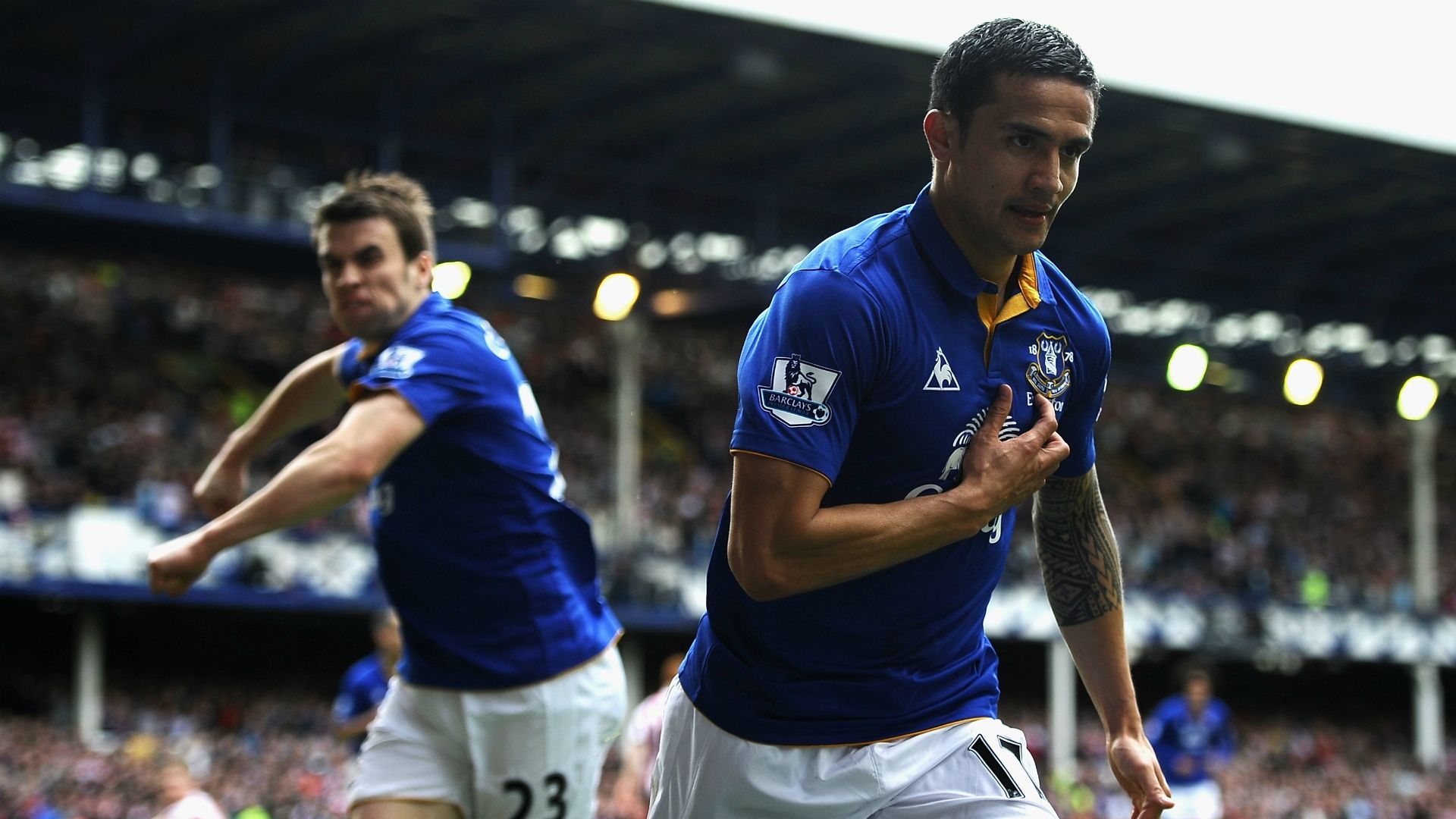 Tim Cahill Everton