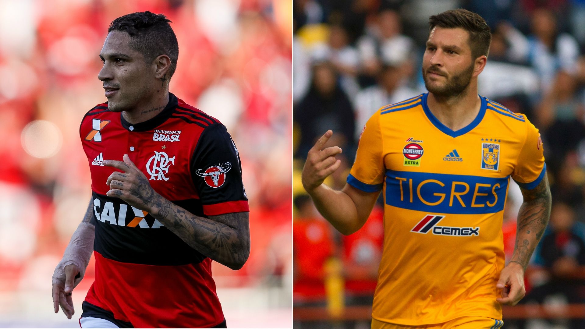 Guerrero - Gignac