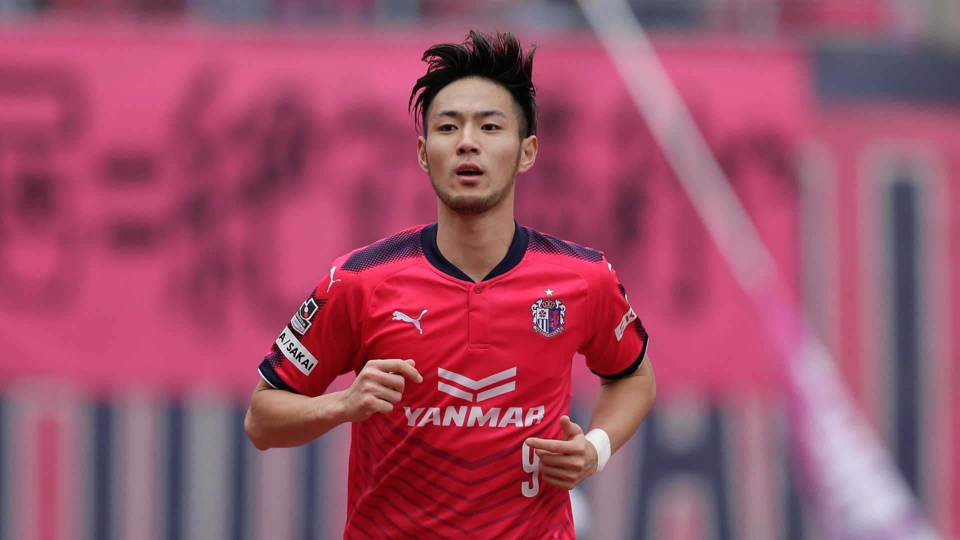 セレッソ大阪、FW杉本健勇が全治6週間…左足関節関節内遊離体で手術実施