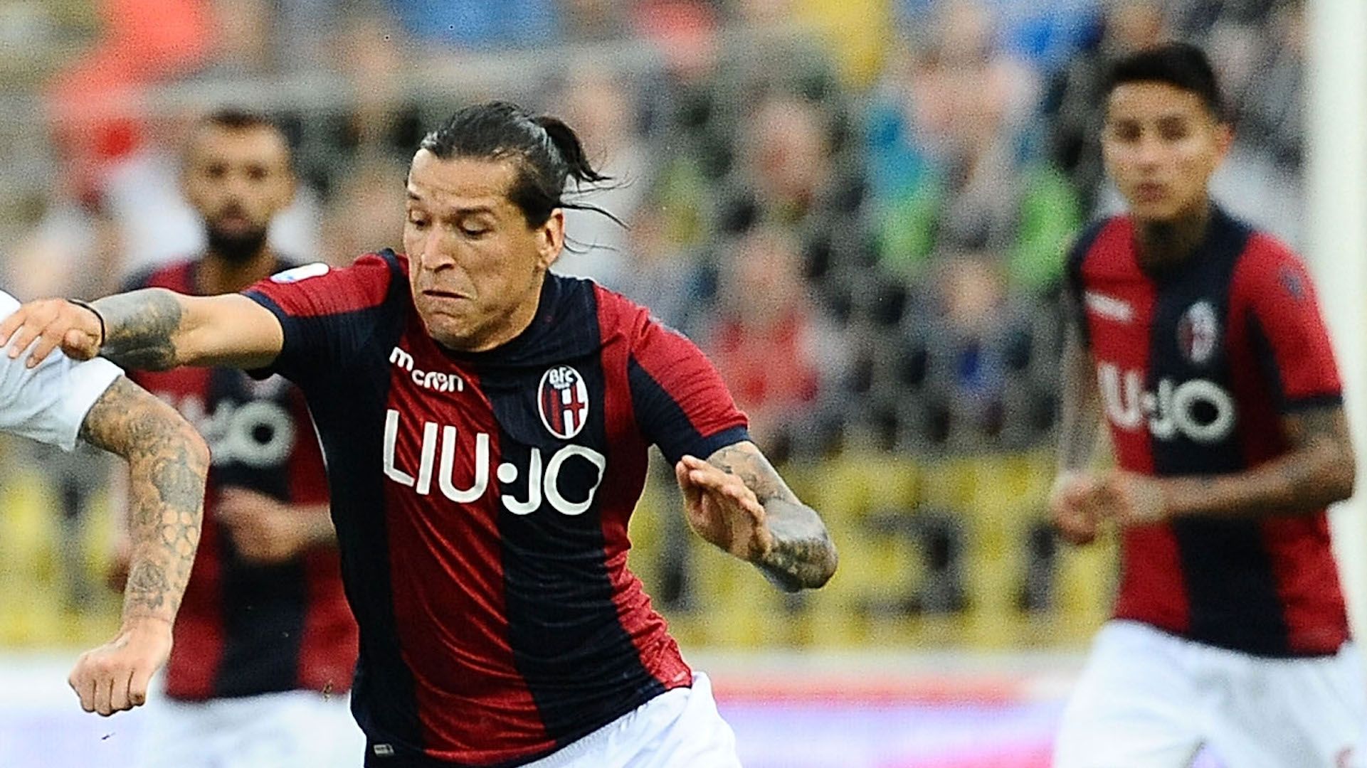 Federico Santander - Bologna