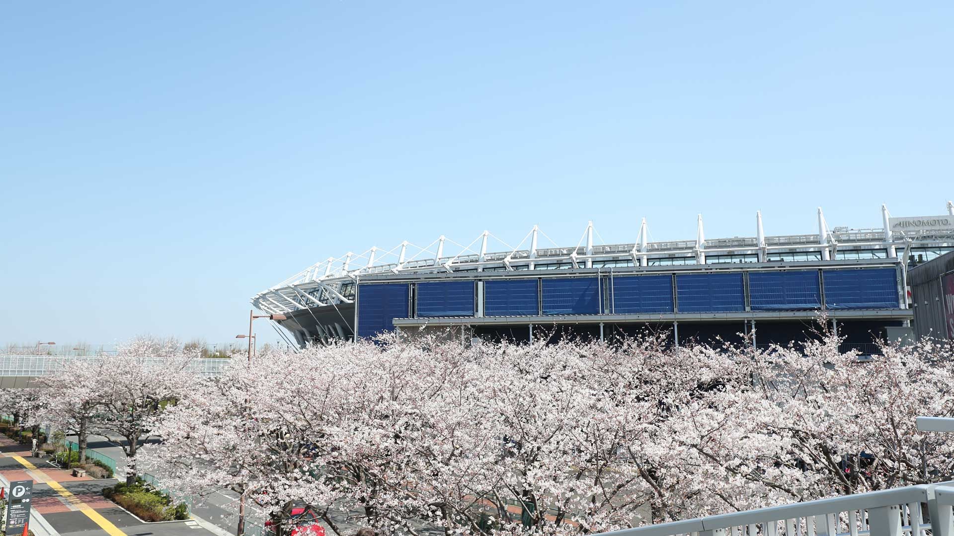 2018-03-25-ajinomoto