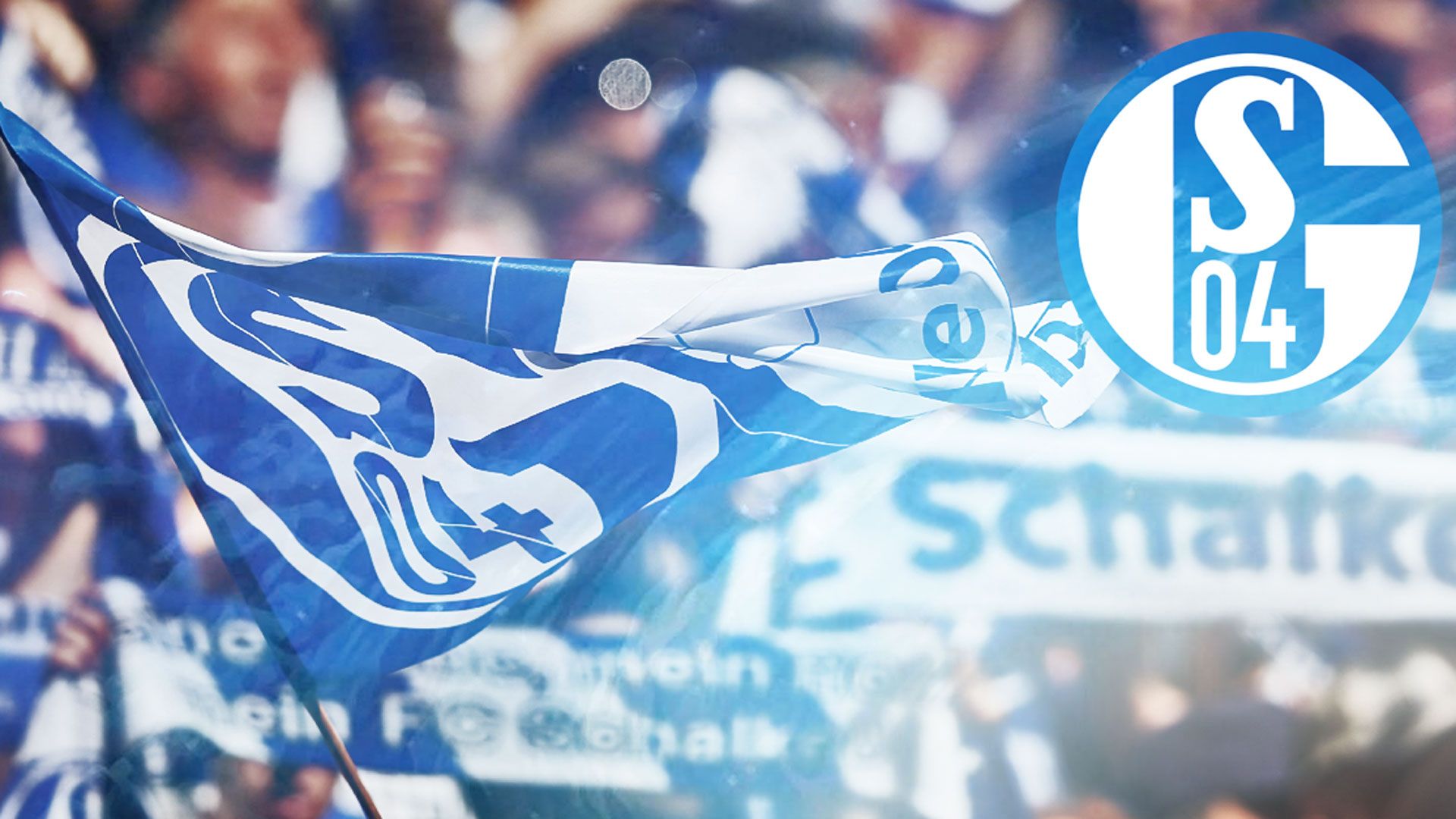 Schalke Chamions League