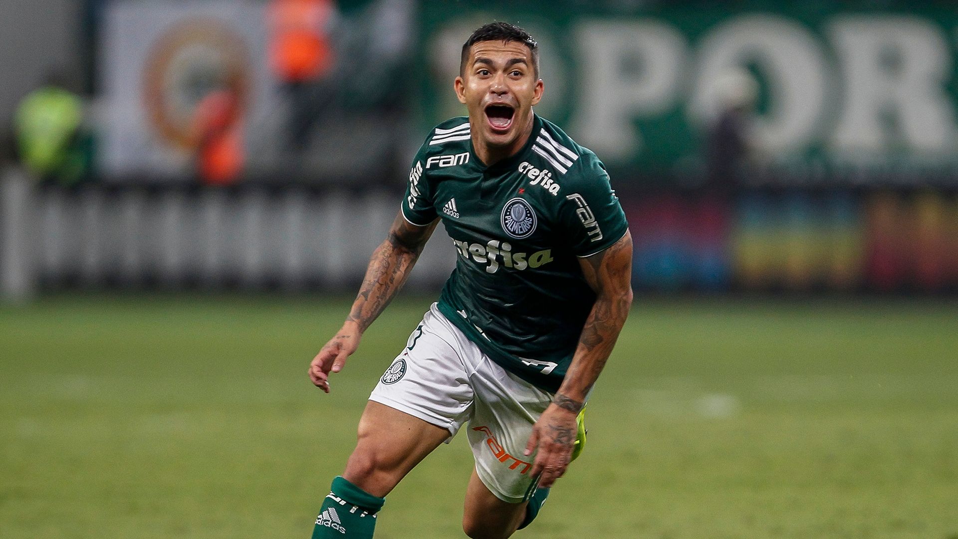 Dudu Palmeiras América-MG Brasileirão Série A 21112018