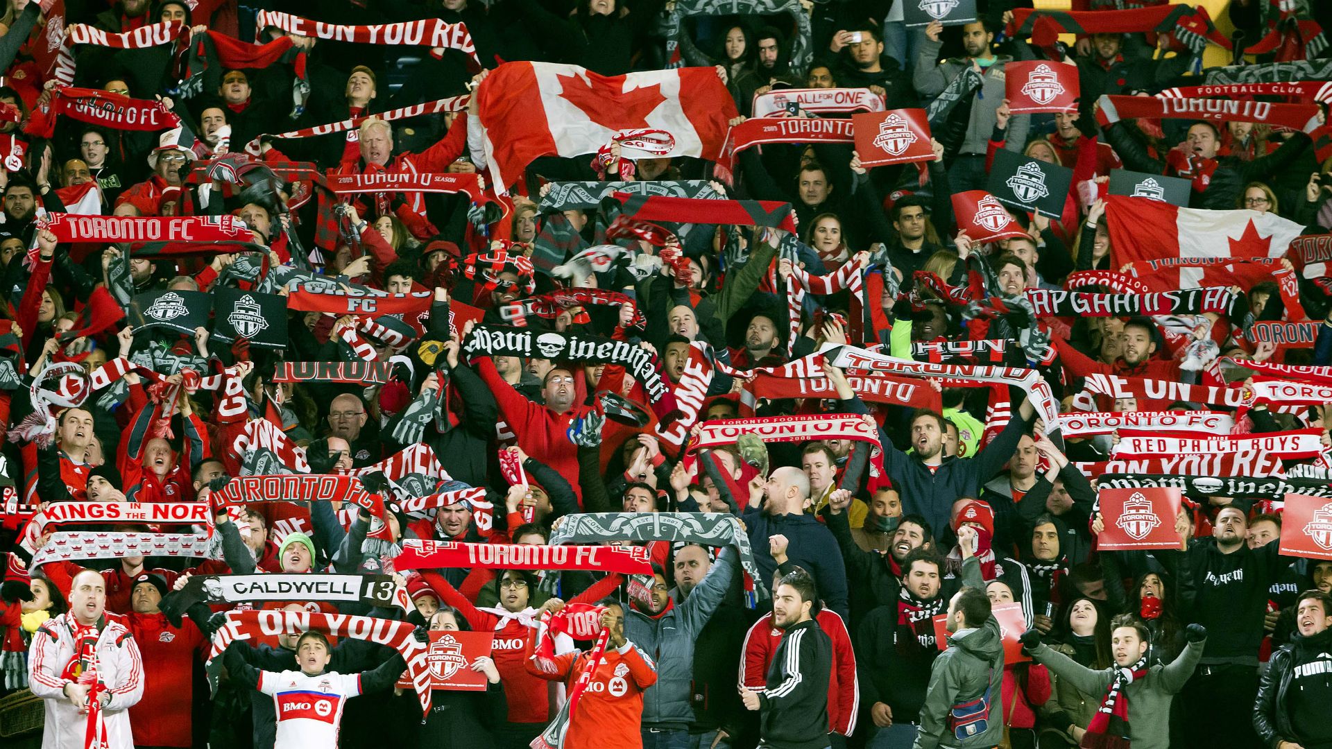 Toronto FC fans MLS 110616