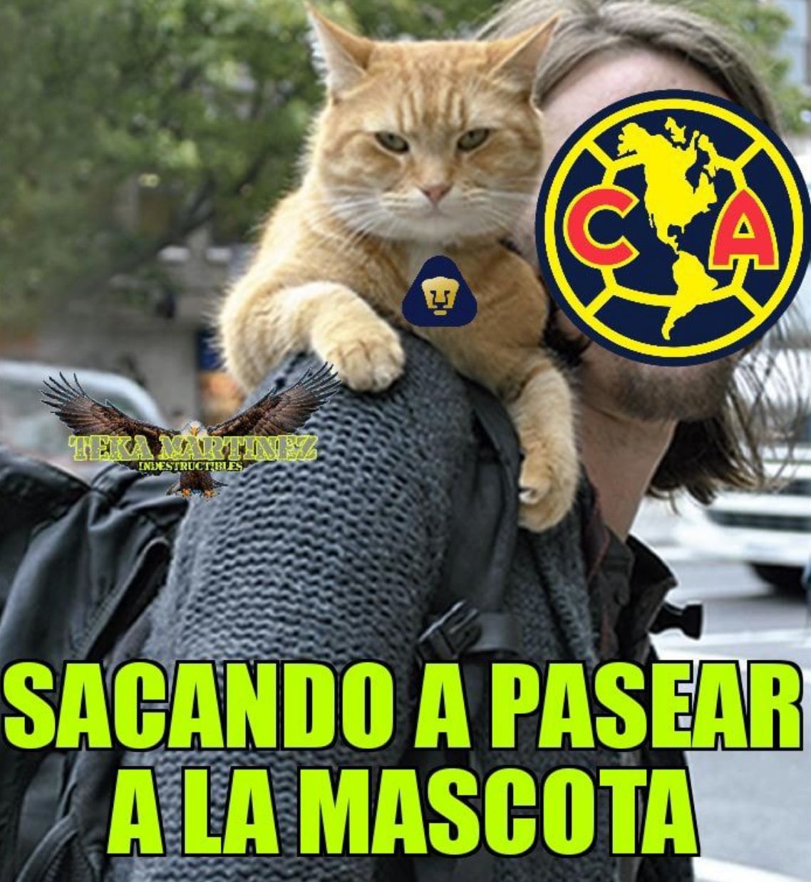 Memes América vs Pumas