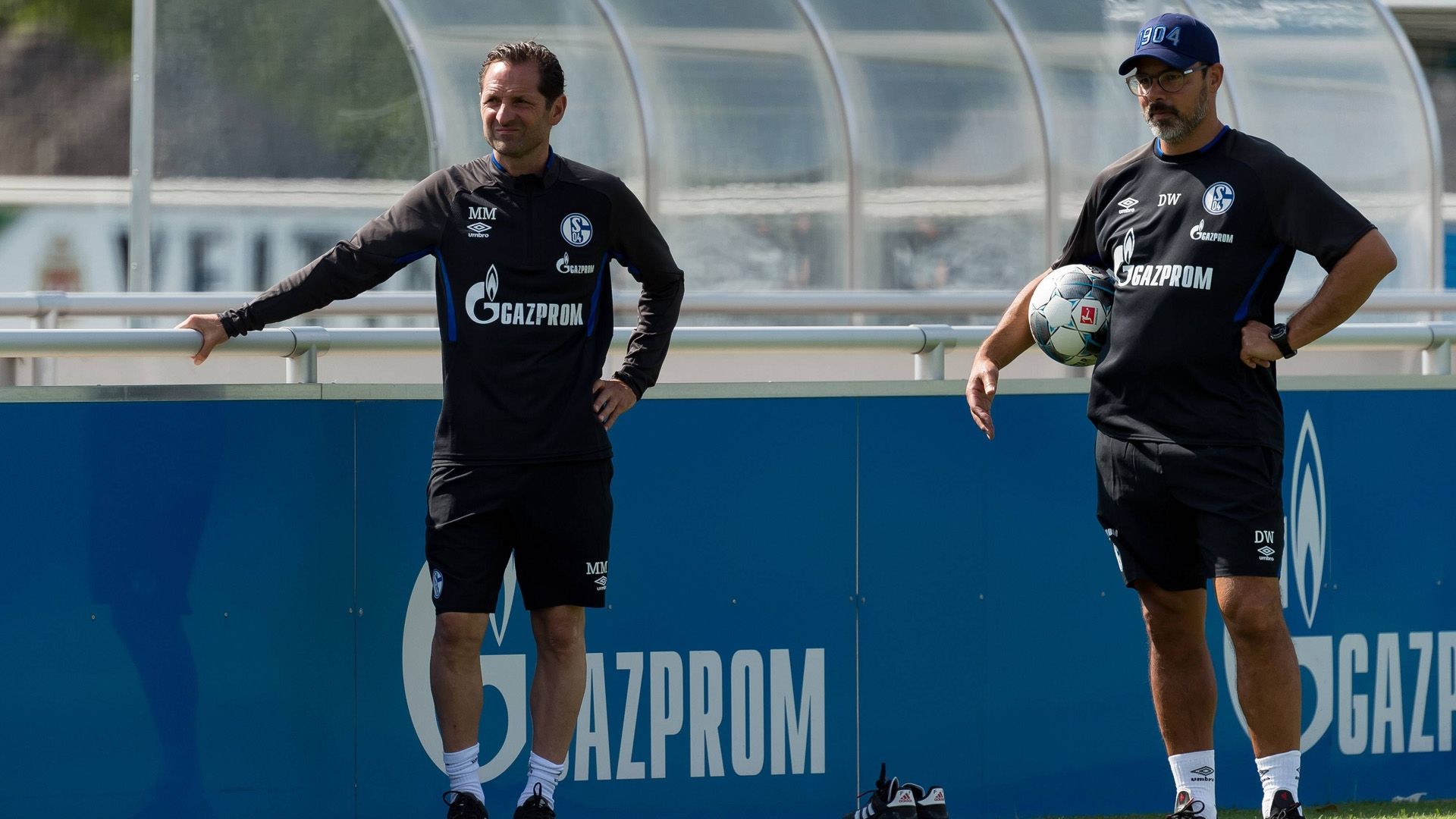 Massimo Mariotti David wagner 2019