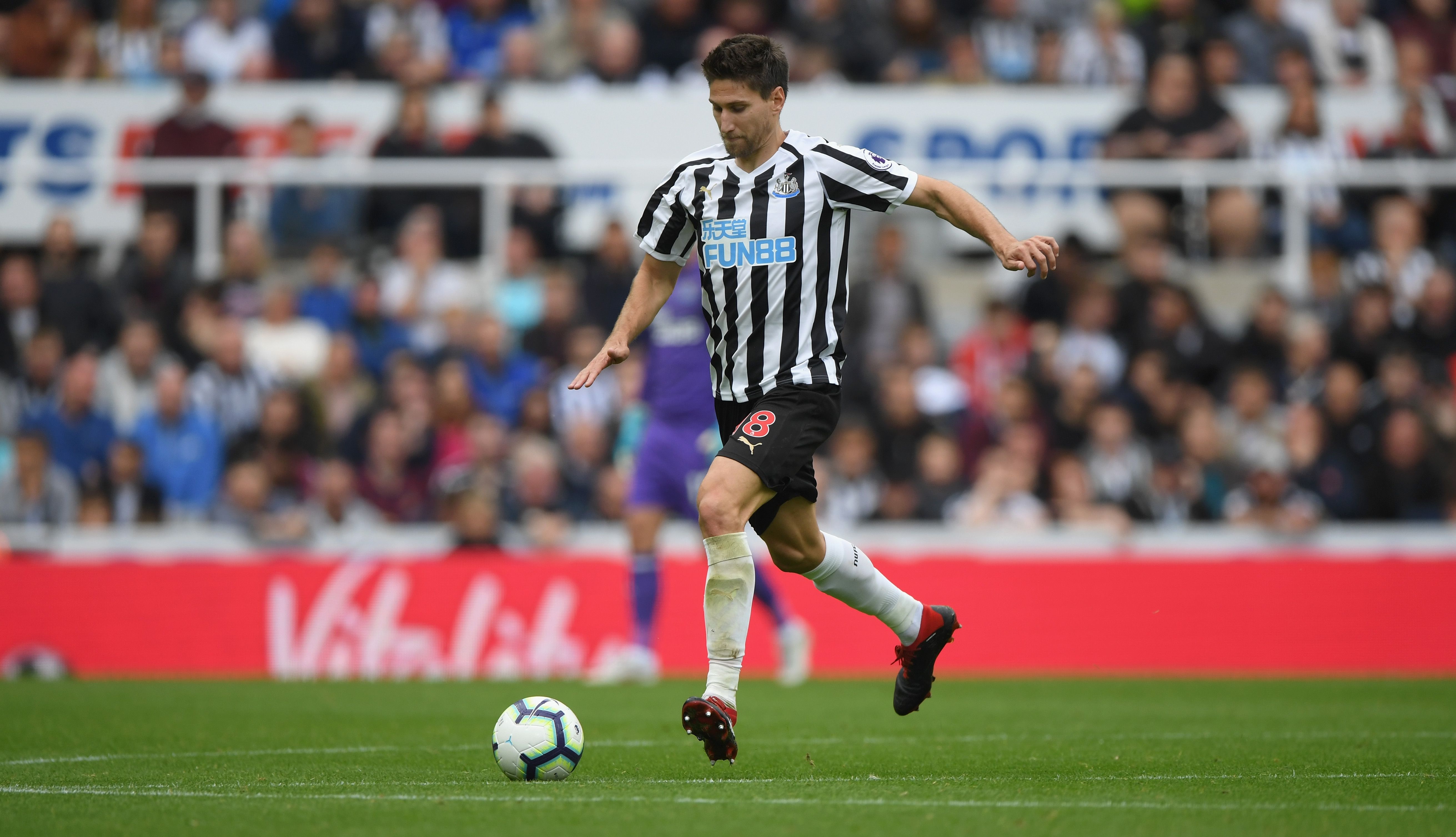 Federico Fernández - Newcastle United