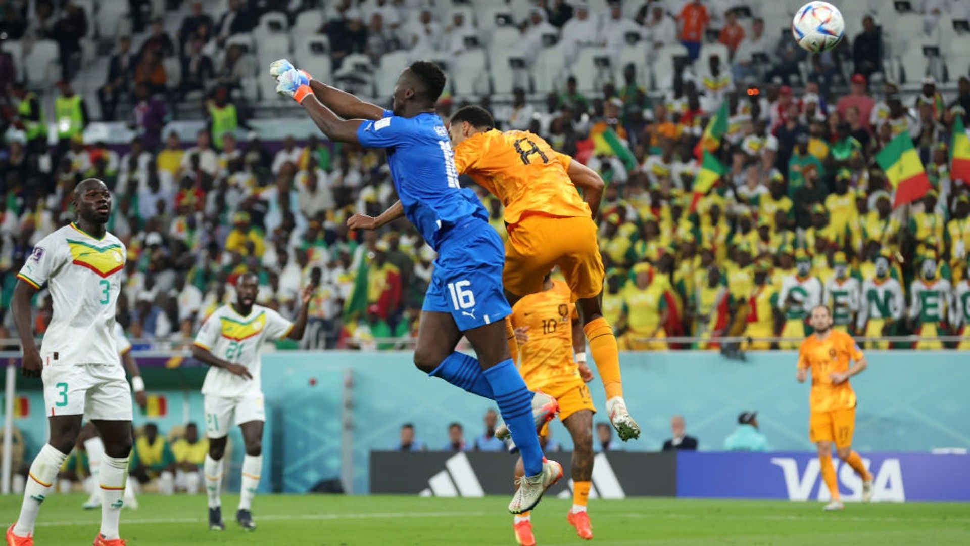 Edouard Mendy of Senegal against the Netherlands.
