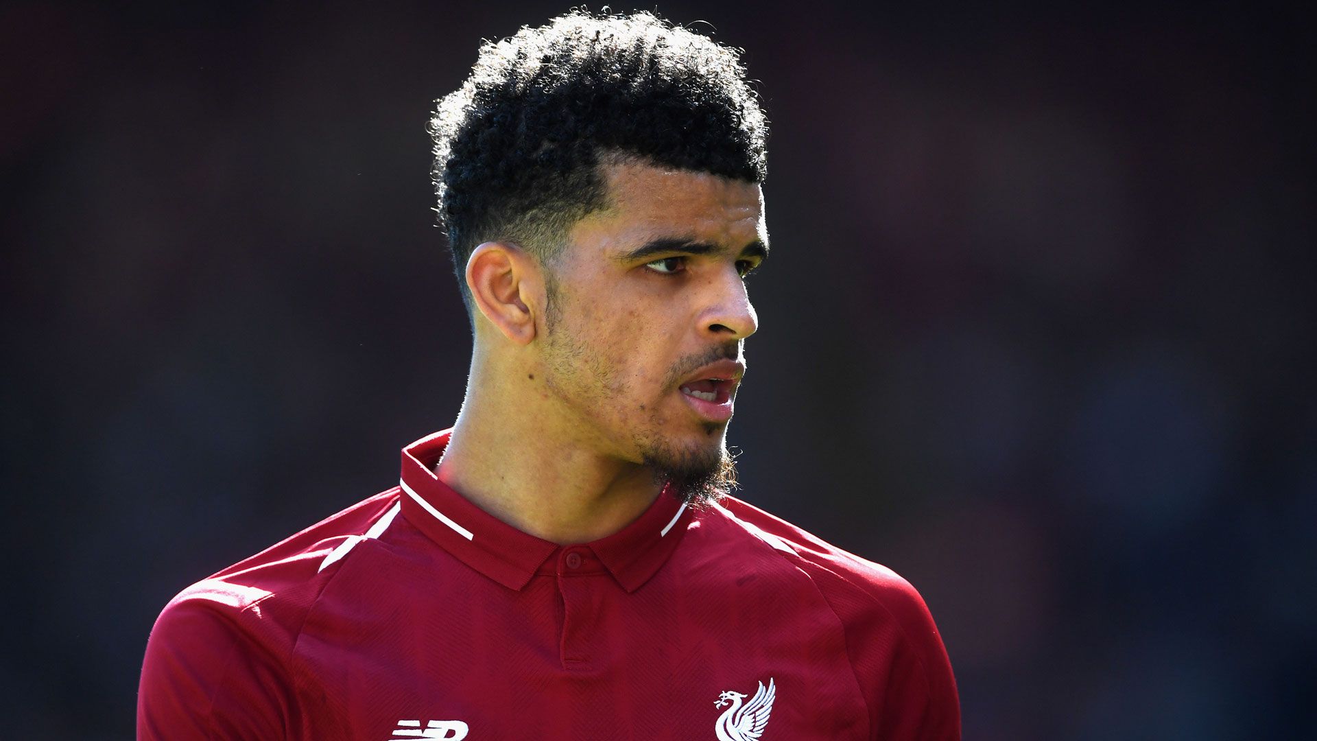 Dominic Solanke FC Liverpool