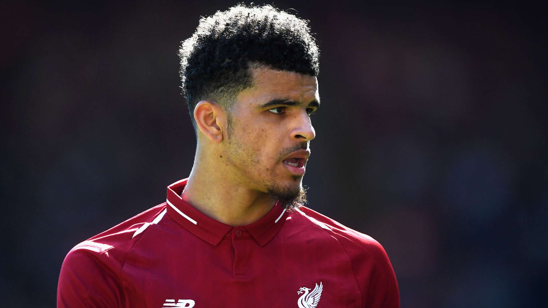 Dominic Solanke FC Liverpool
