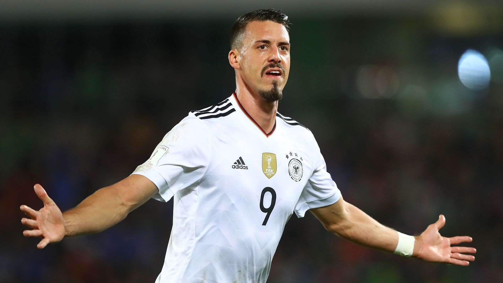 Sandro Wagner, Germany