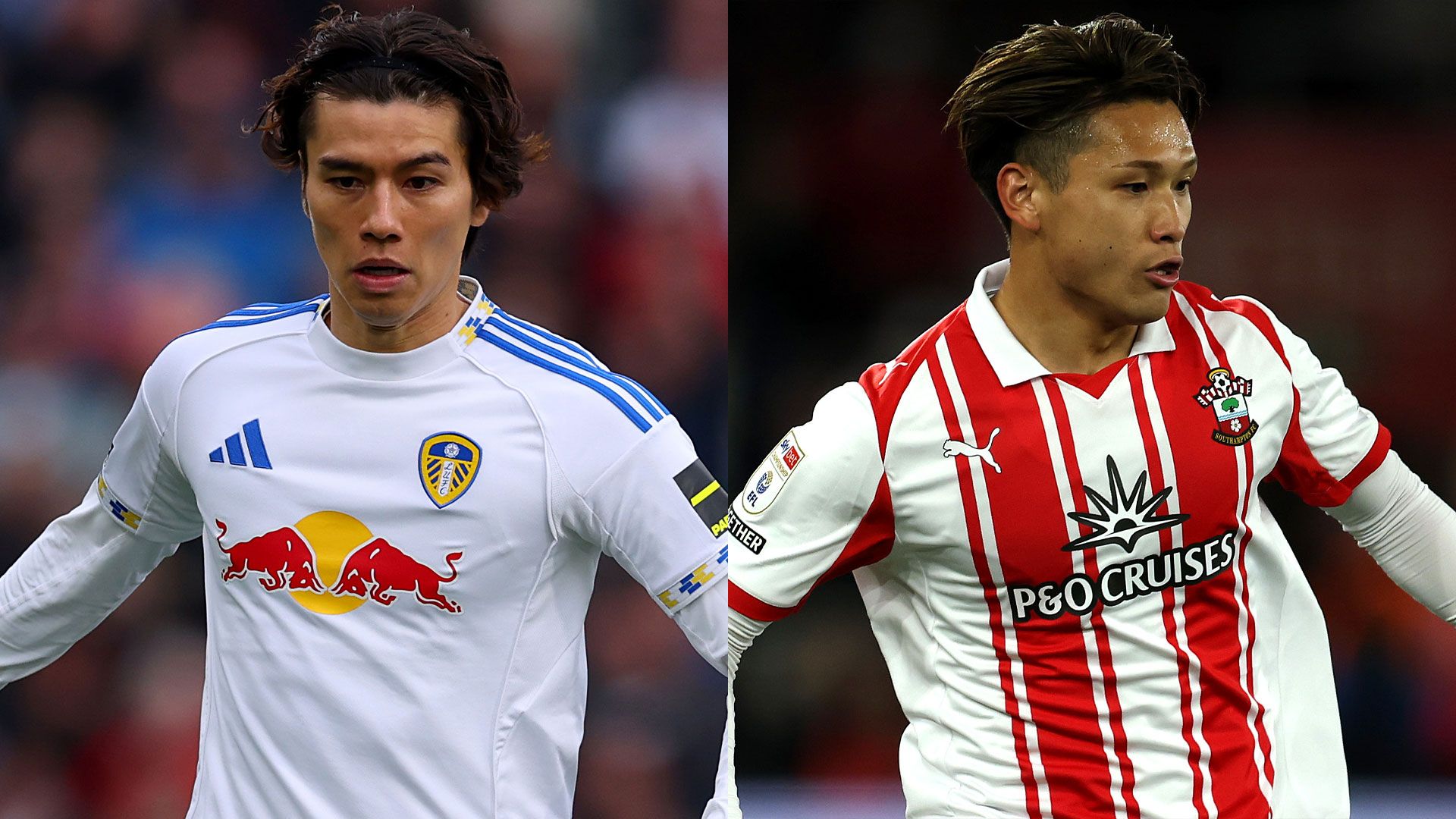 Ao tanaka kuryu matsuki