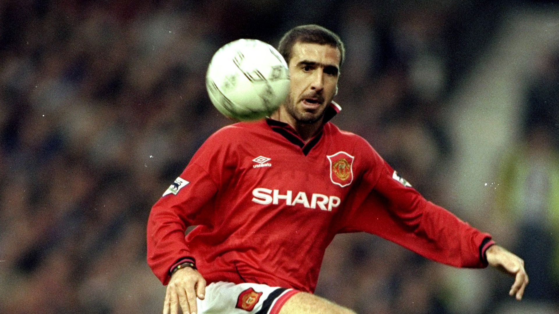 Eric Cantona Manchester United 1995