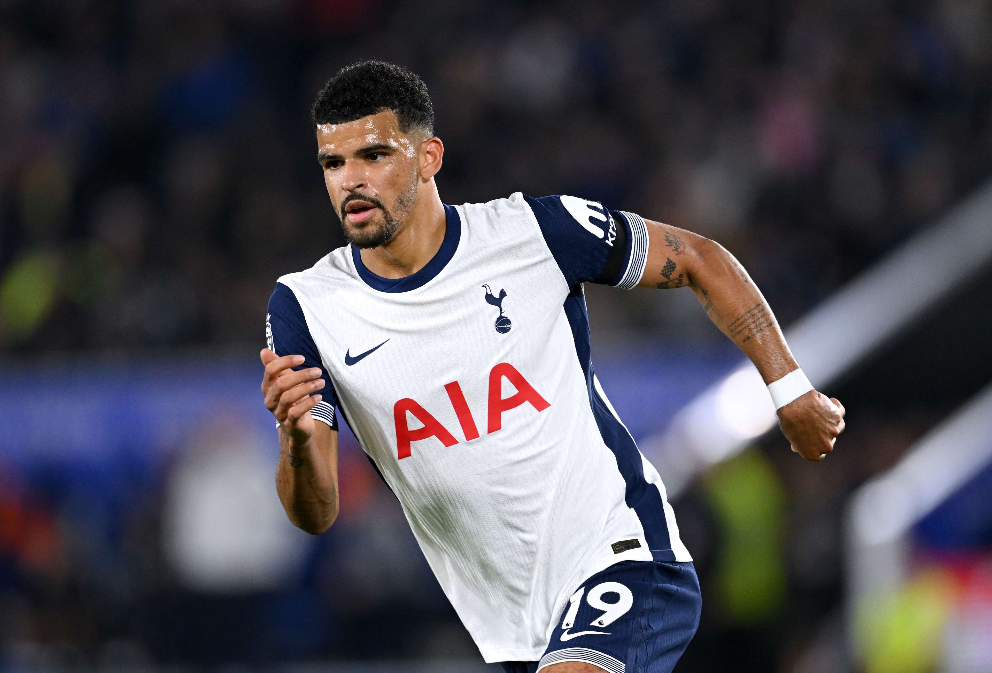 Dominic Solanke Tottenham Hotspur