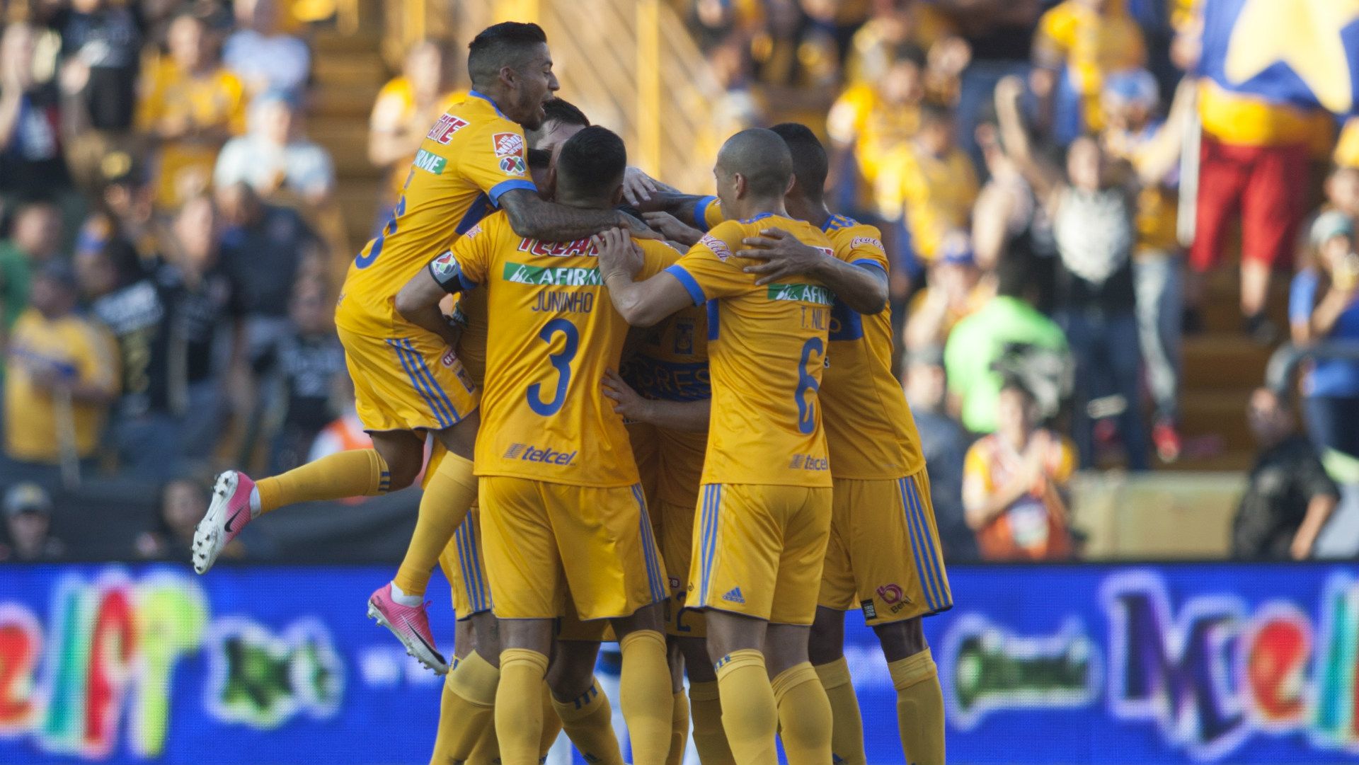 Tigres
