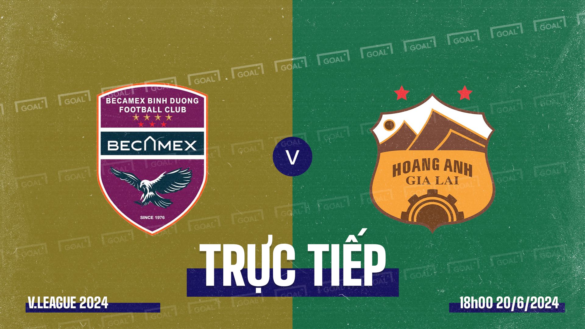 Binh Duong vs HAGL VLeague 2024 GFX