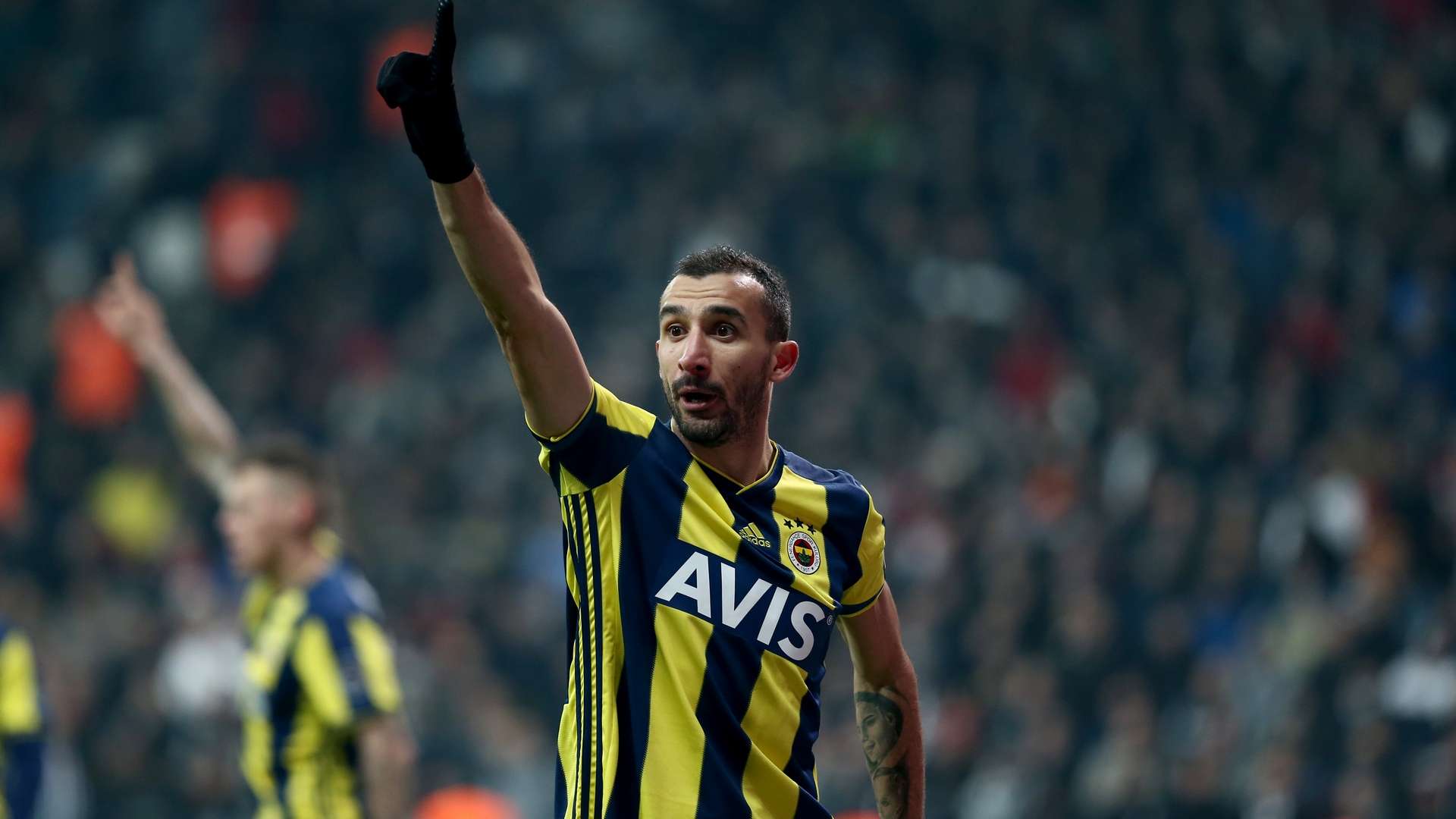 Mehmet Topal Fenerbahce