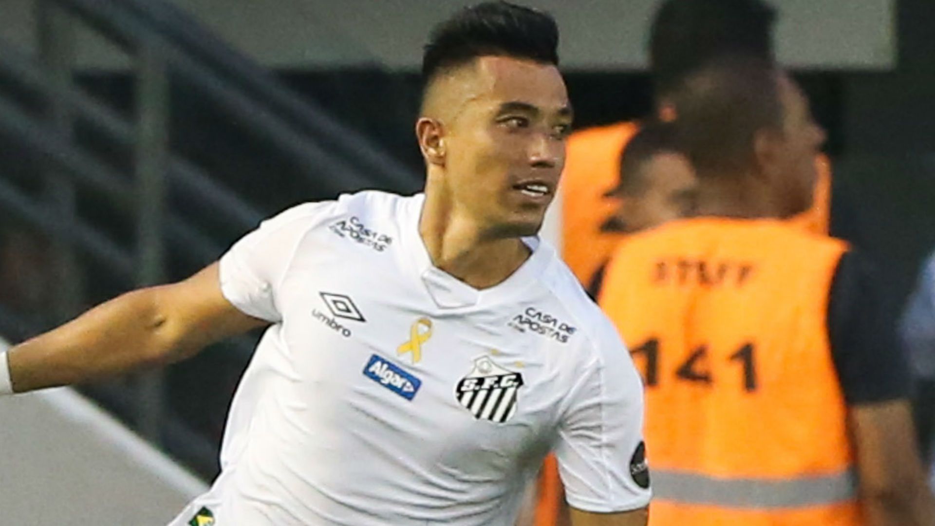 Fernando Uribe Santos 30 01 2019