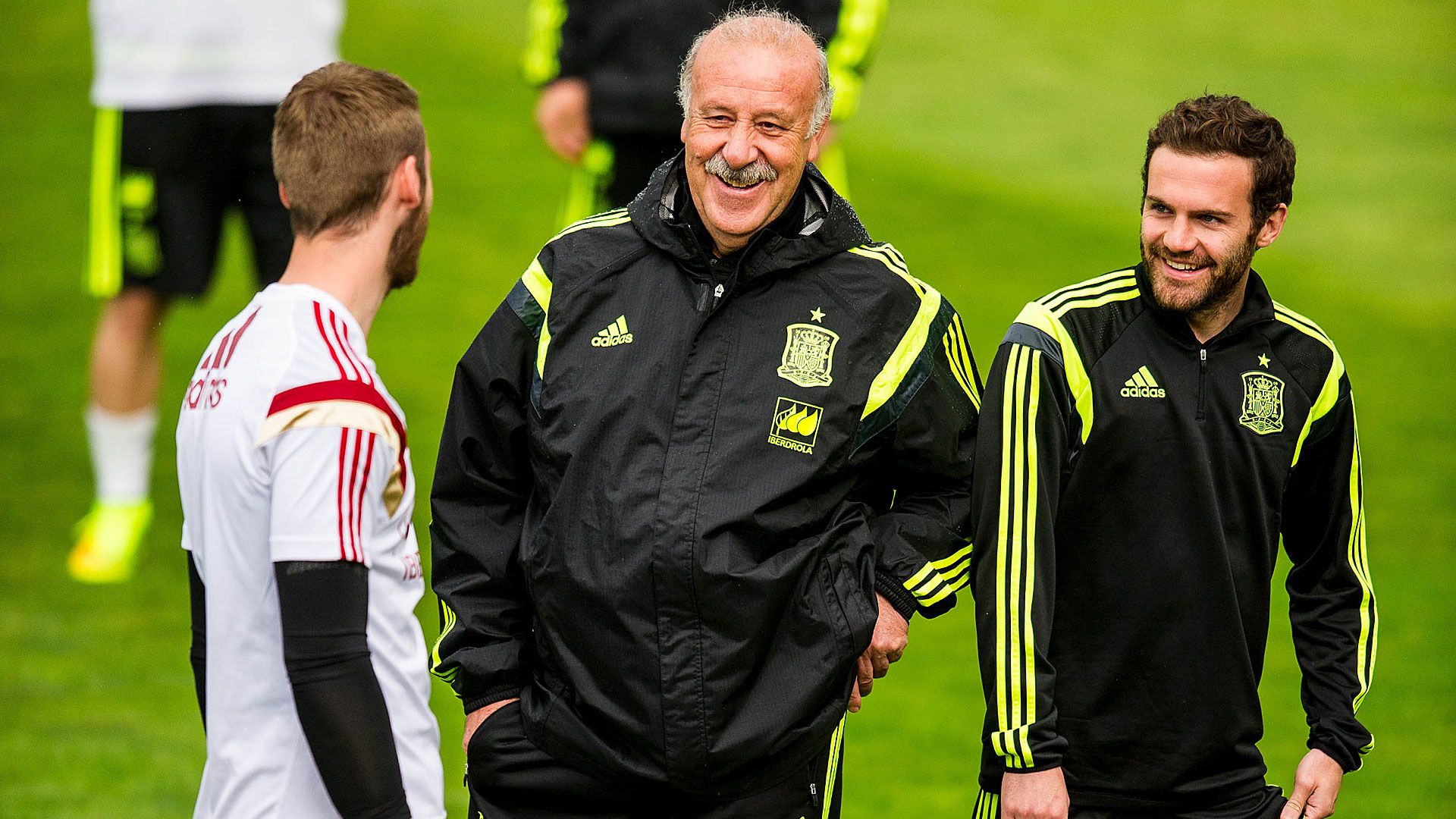 David De Gea Vincente del Bosque Juan Mata 28050214