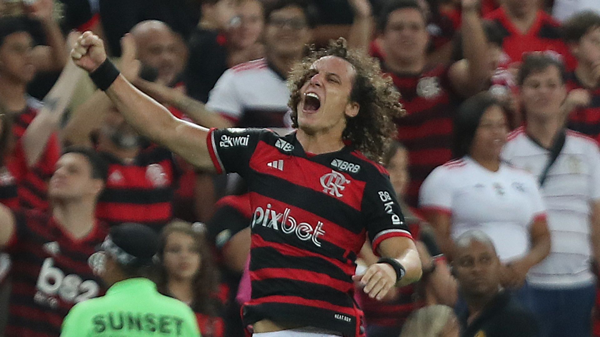 David Luiz, Flamengo 2024