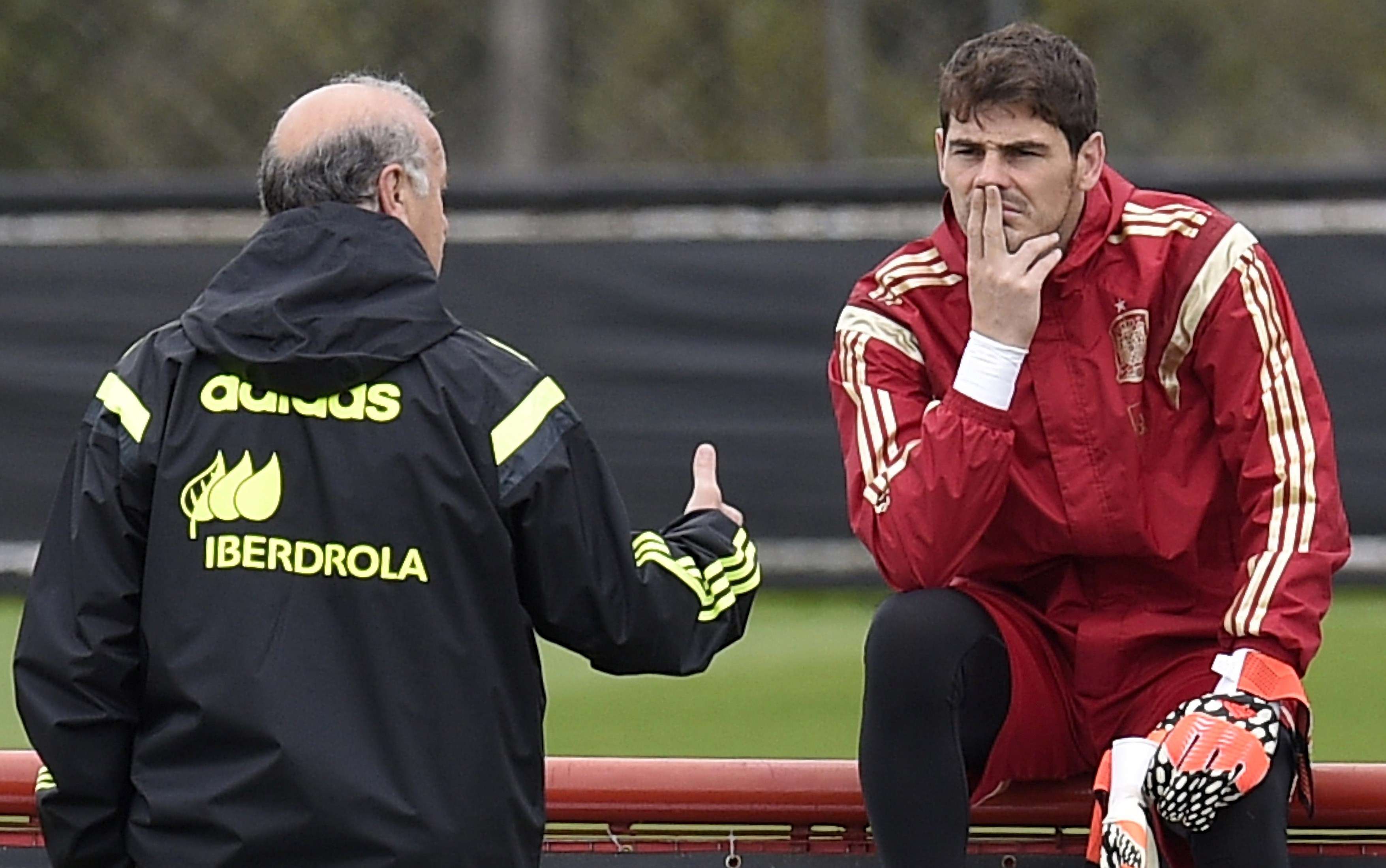Iker Casillas and Vicente Del Bosque - 2014