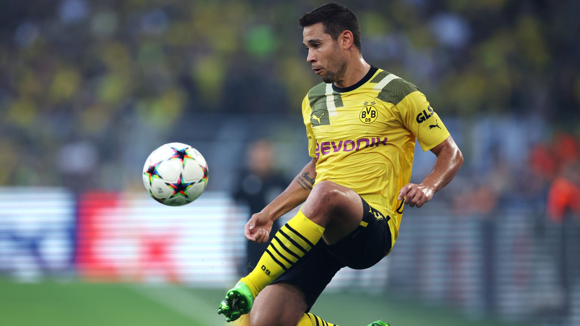 RAPHAEL GUERREIRO BORUSSIA DORTMUND