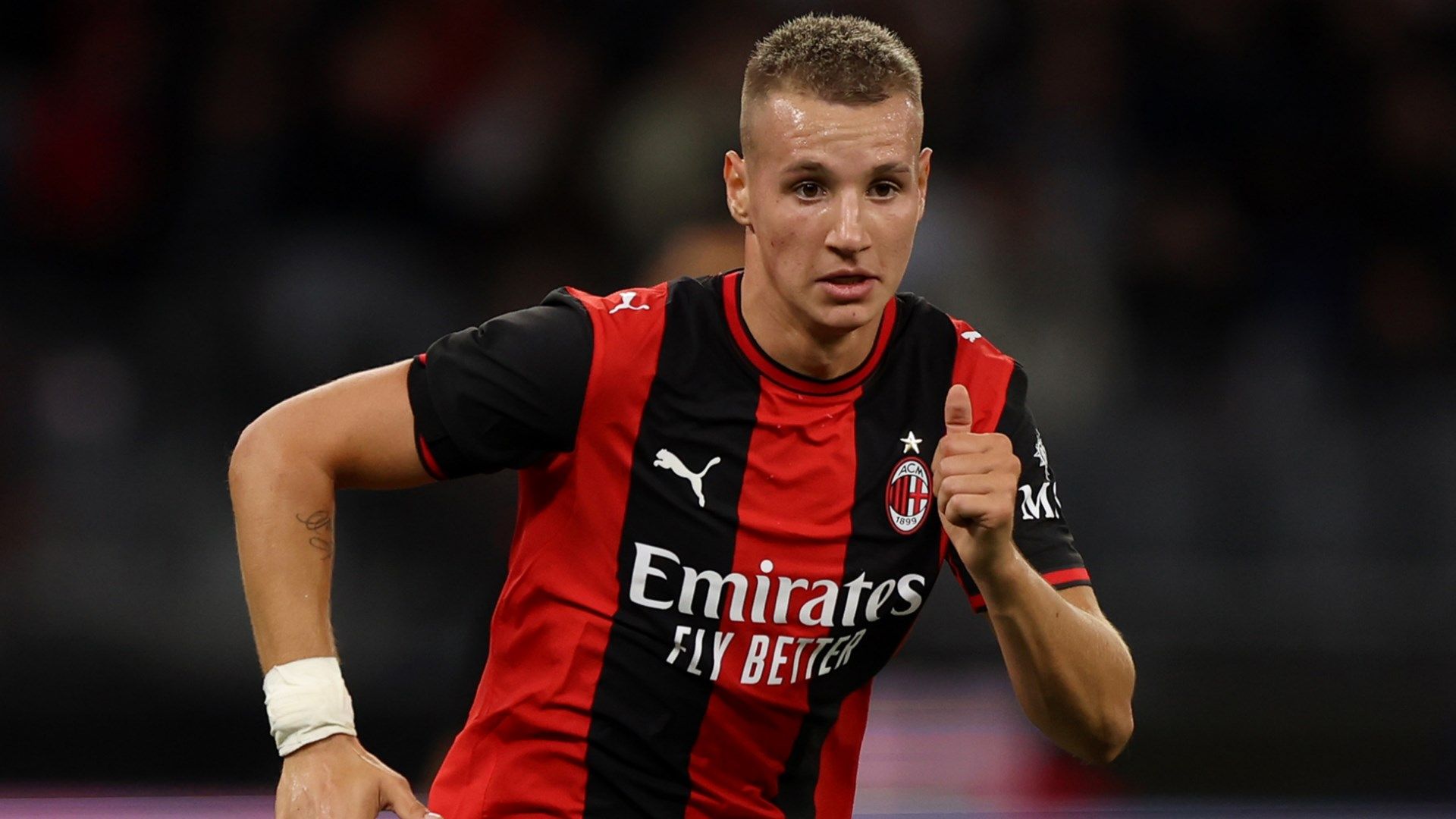 Camarda Milan