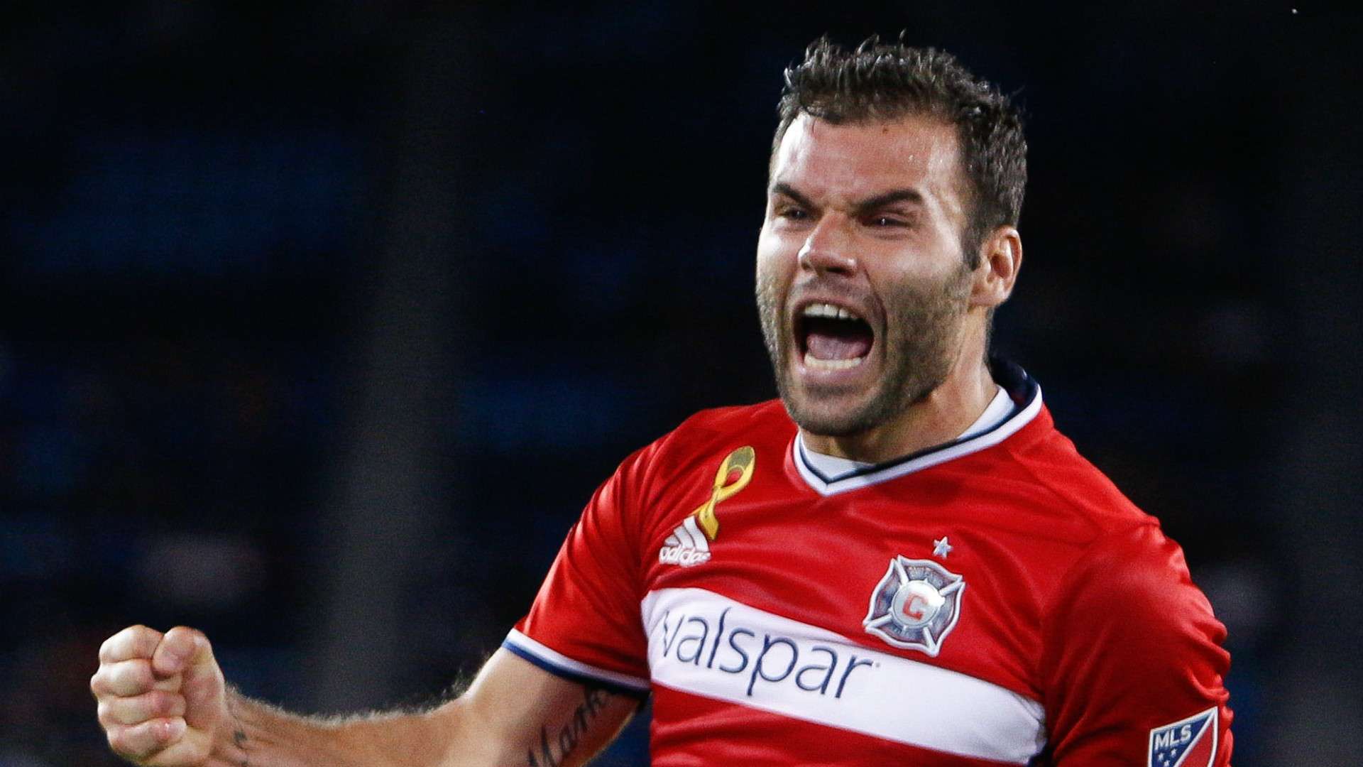 Nemanja Nikolic MLS Chicago Fire 09272017