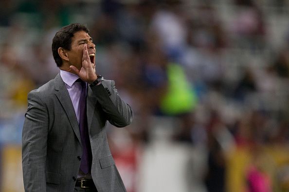 Alfonso Sosa Leones Negros