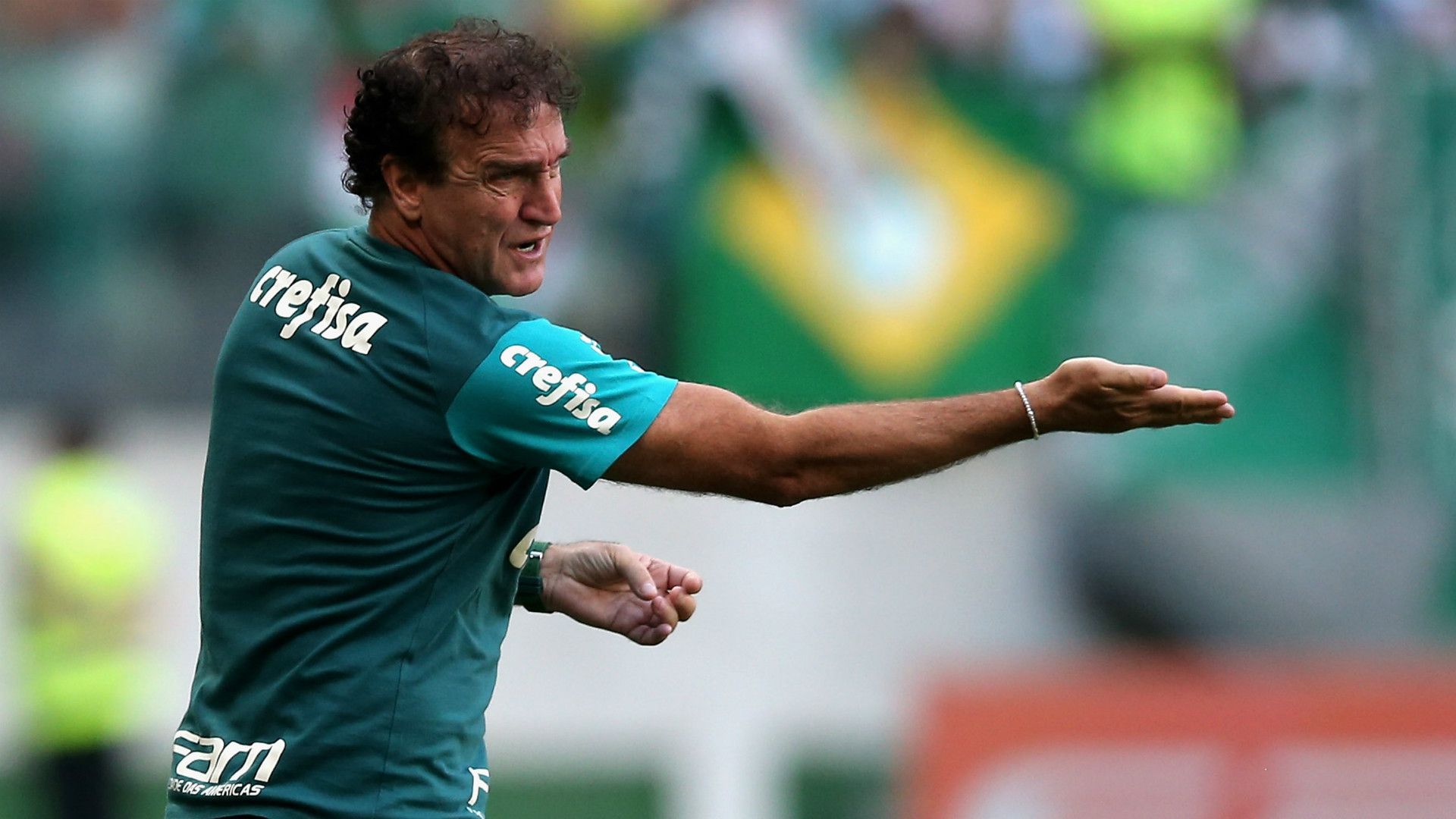 Cuca - Palmeiras x Botafogo - 20/11/2016