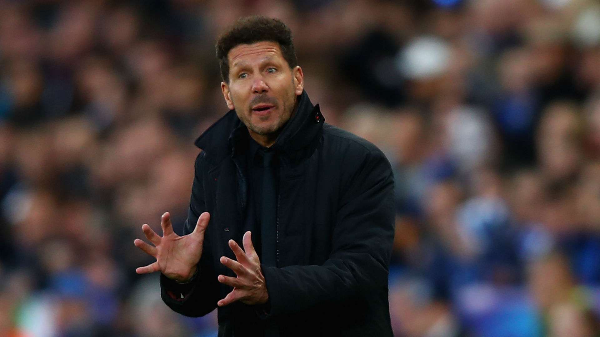 DiegoSimeone - cropped