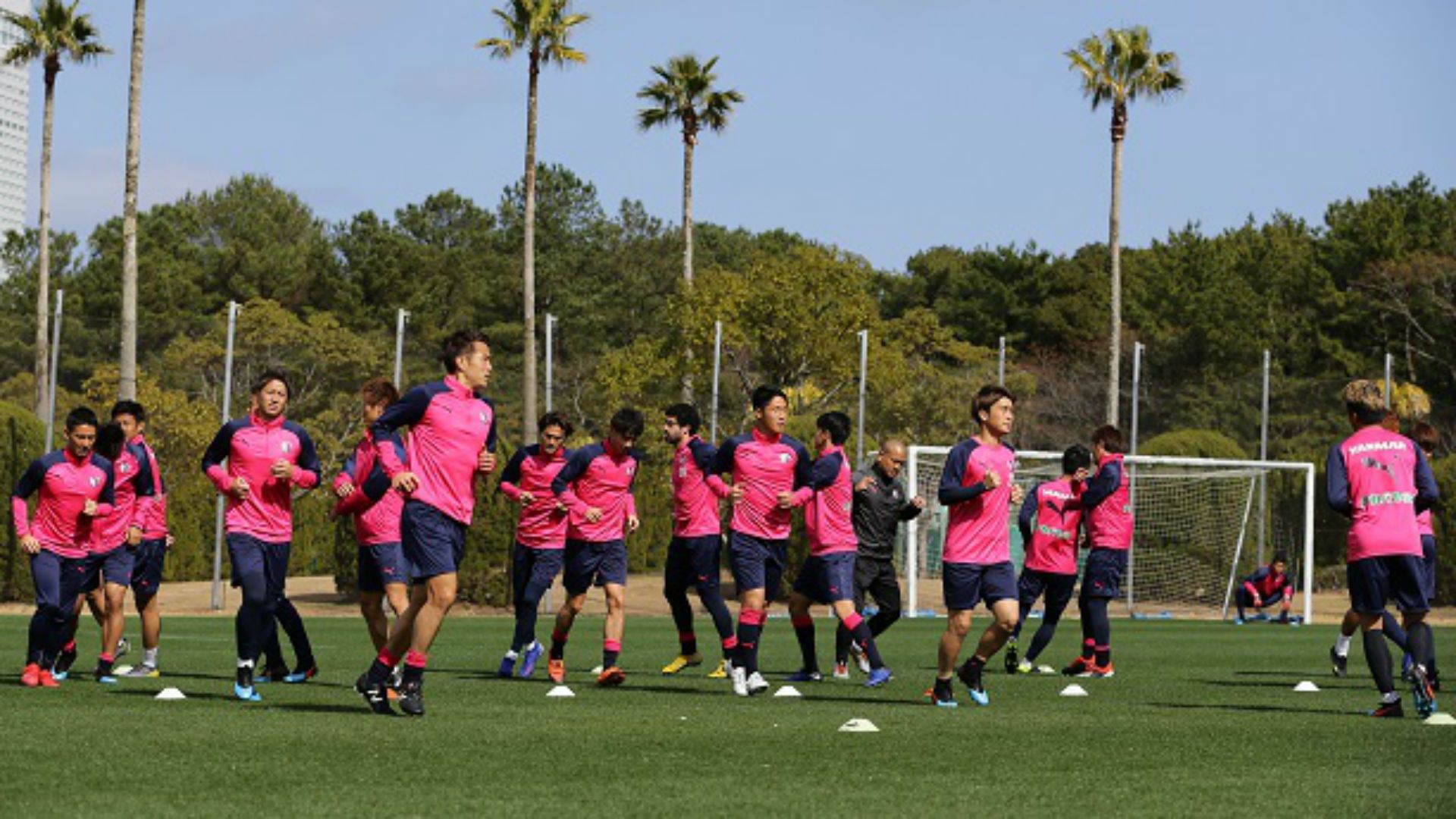 cerezo02.JPG