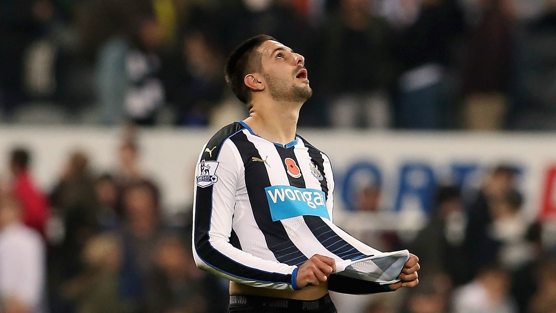 Aleksandar Mitrovic Newcastle United 31102015