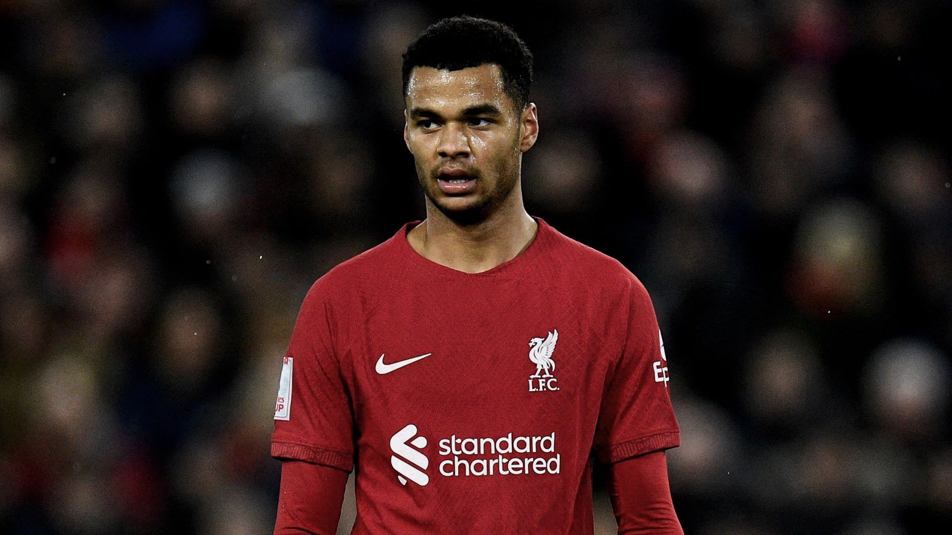 Cody Gakpo Liverpool 2022-23 HIC 16:9