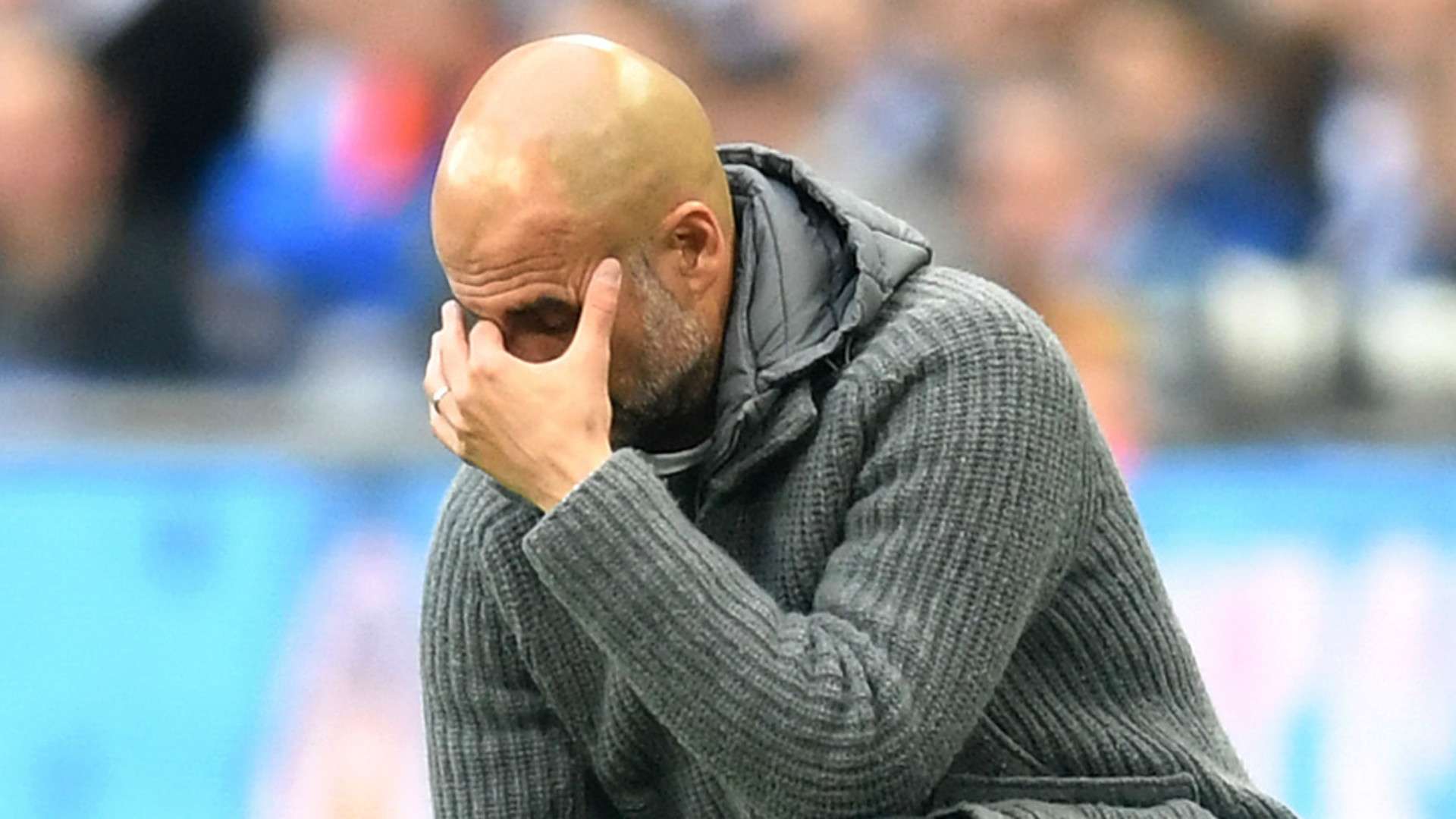 Pep Guardiola Manchester City 2018-19