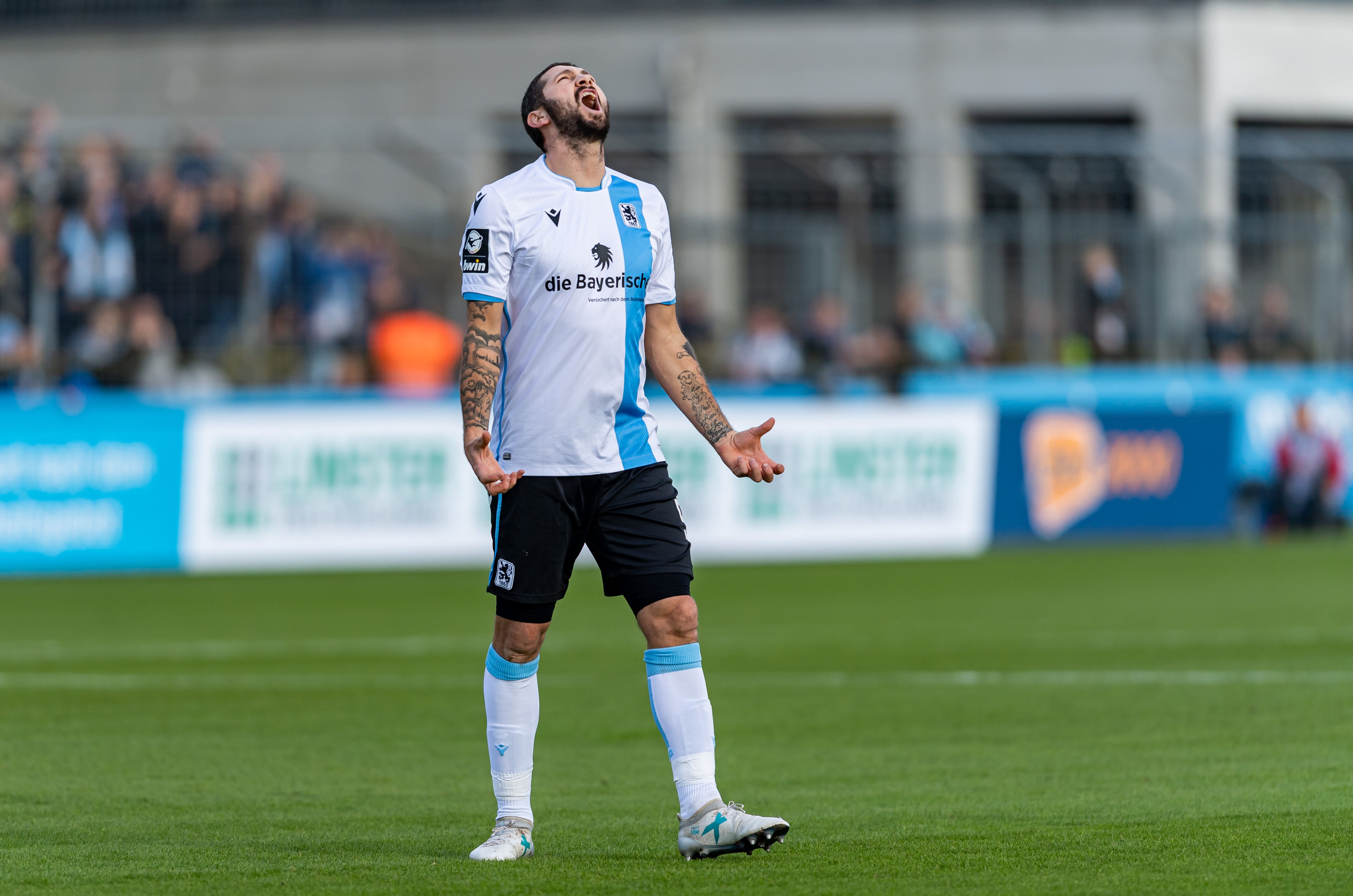 Sascha Mölders 1860 München