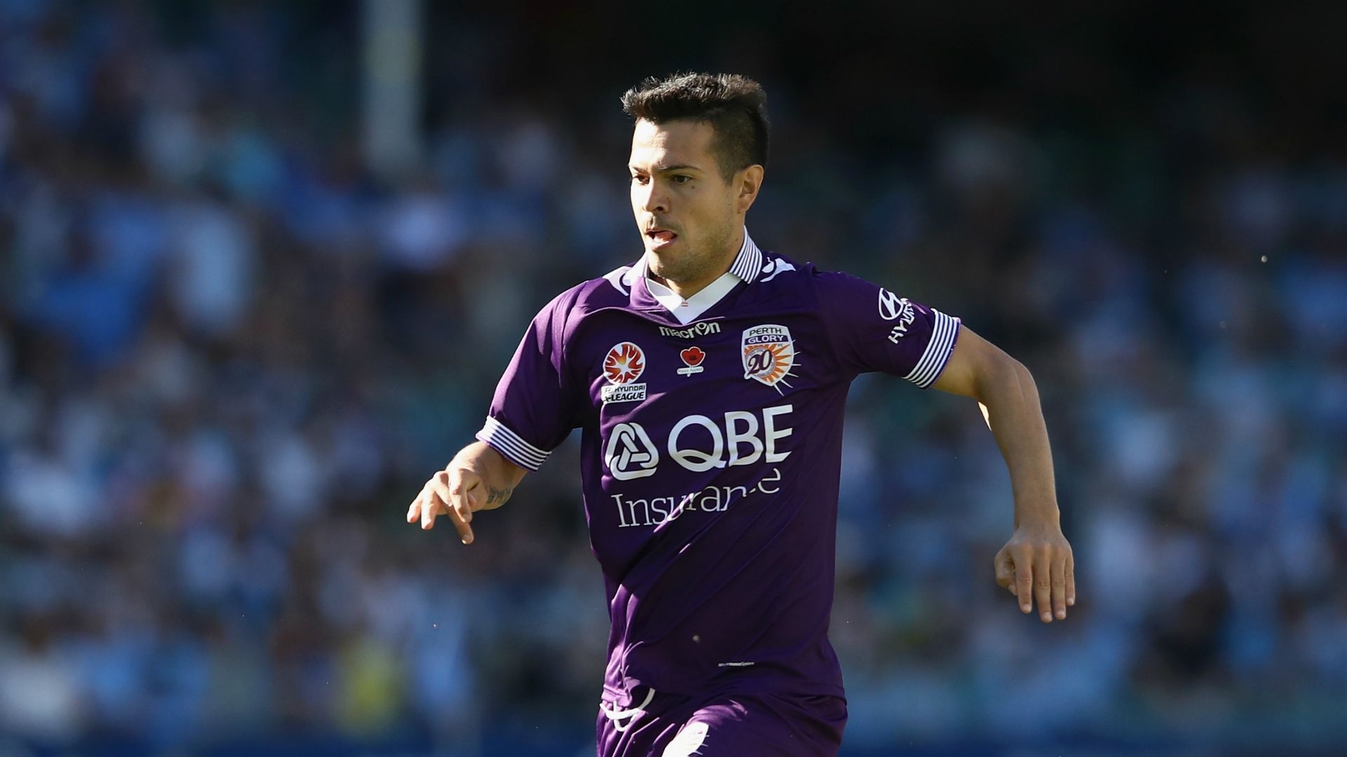 Milan Smiljanic Sydney FC v Perth Glory A-League 13112016