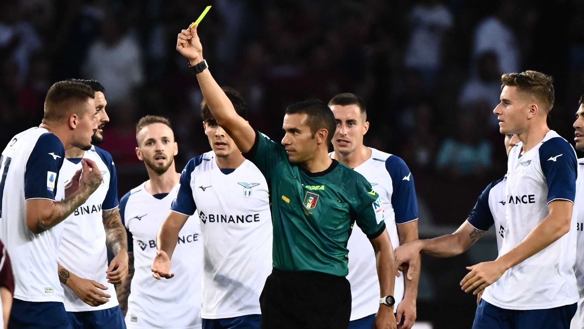 milinkovic piccinici