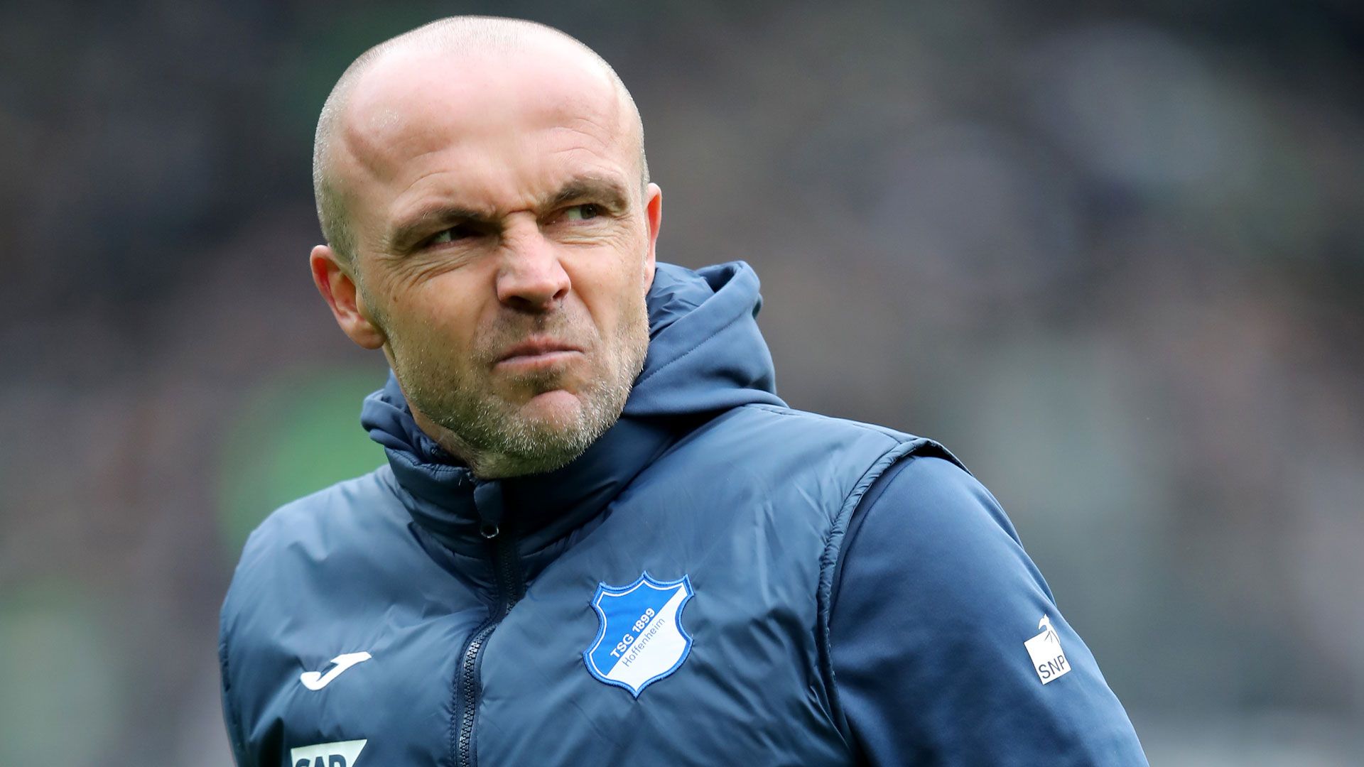 Alfred Schreuder TSG 1899 Hoffenheim