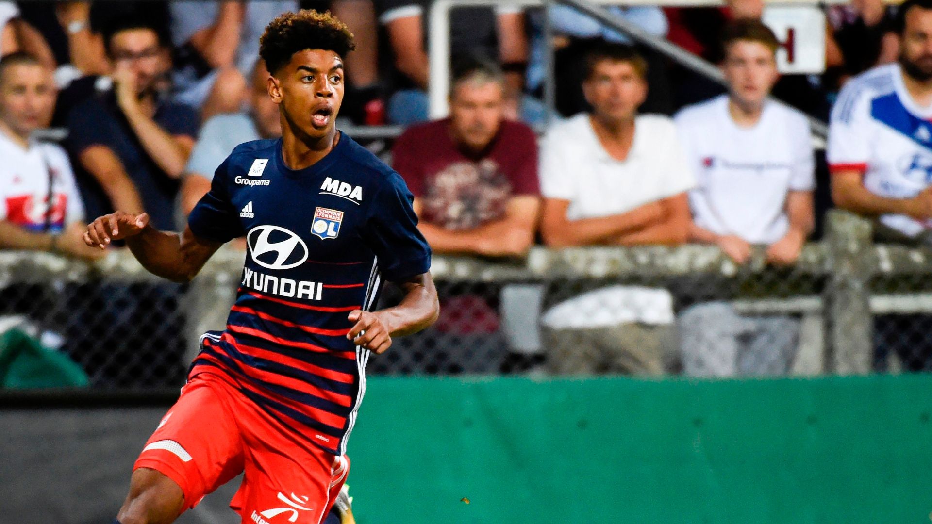 Willem Geubbels Lyon