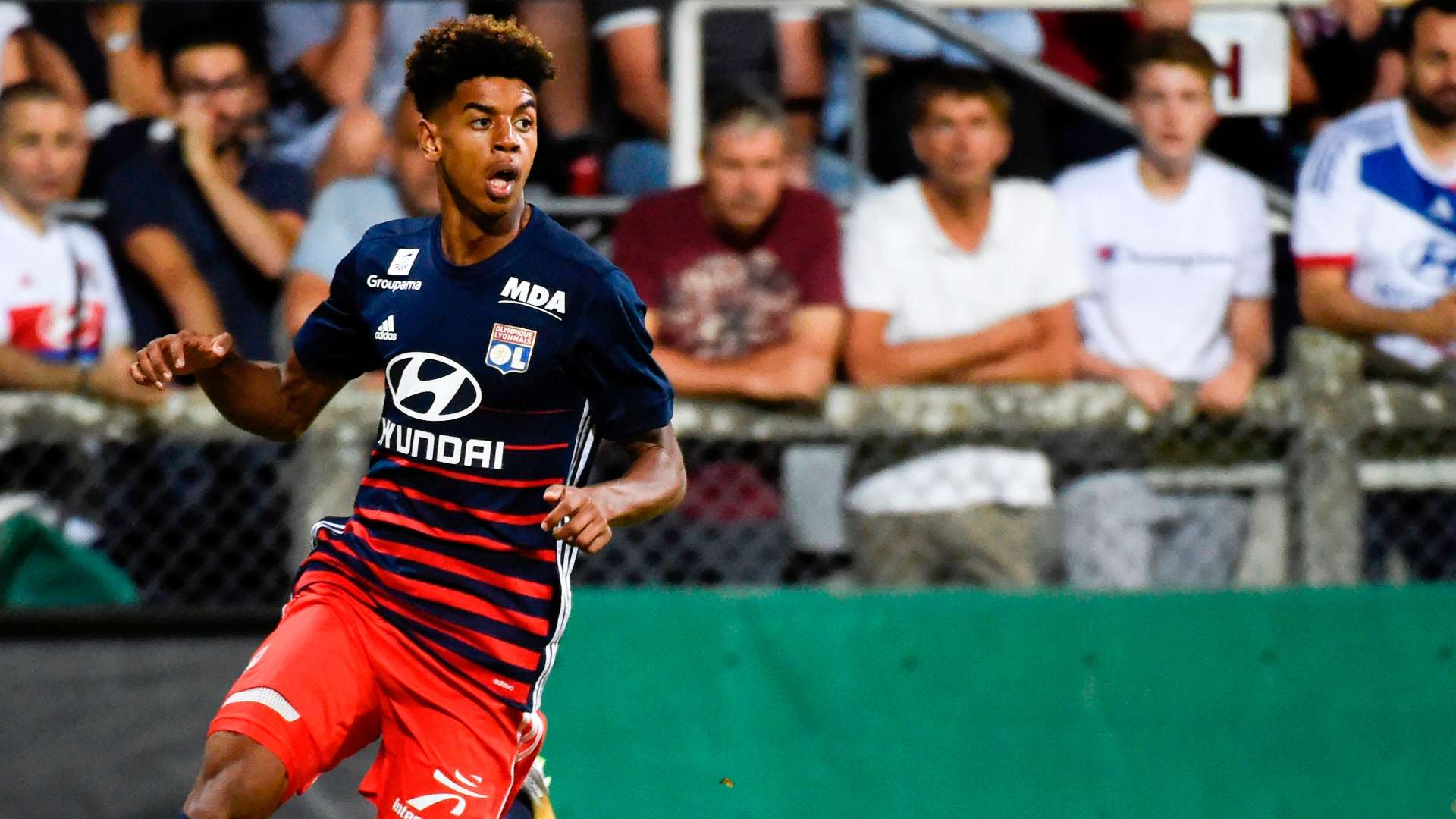 Willem Geubbels Lyon