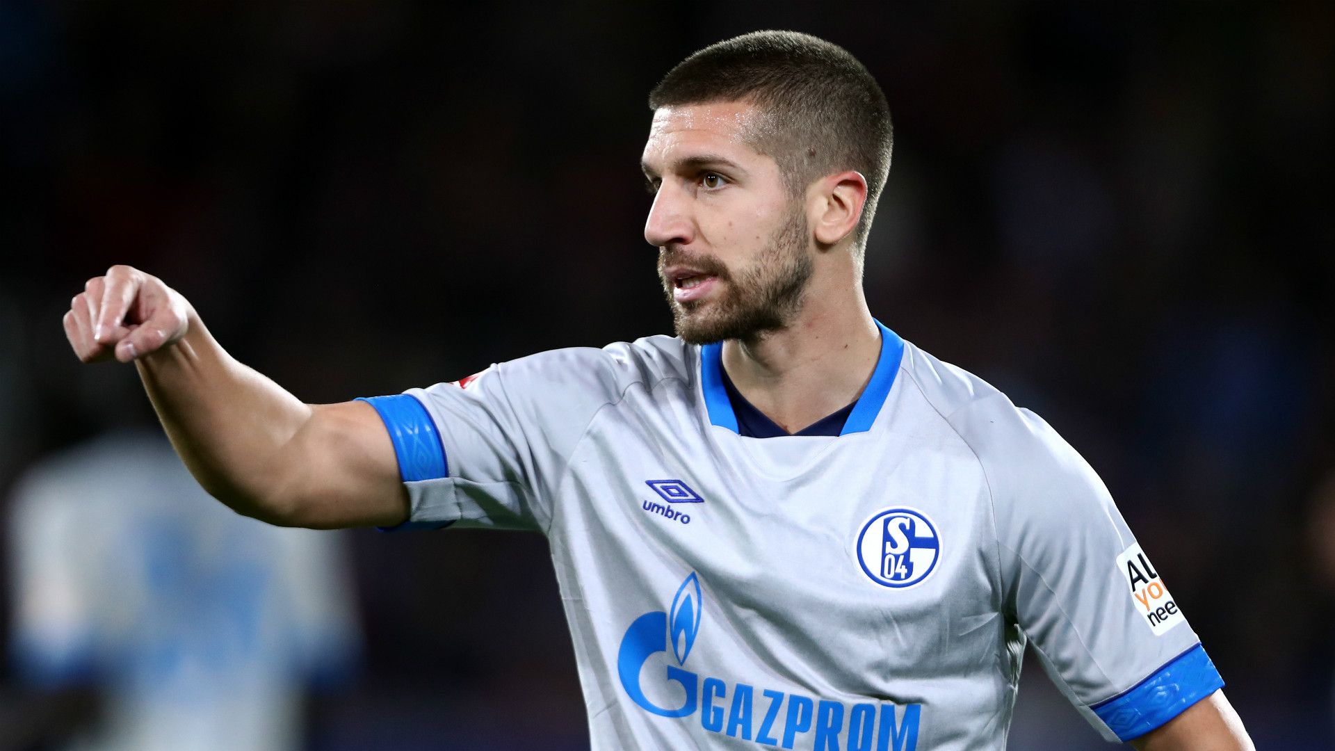 Nastasic Schalke 04