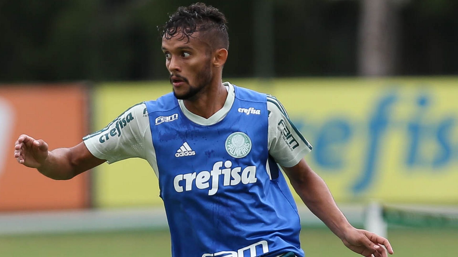 Gustavo Scarpa treino Palmeiras 26012018