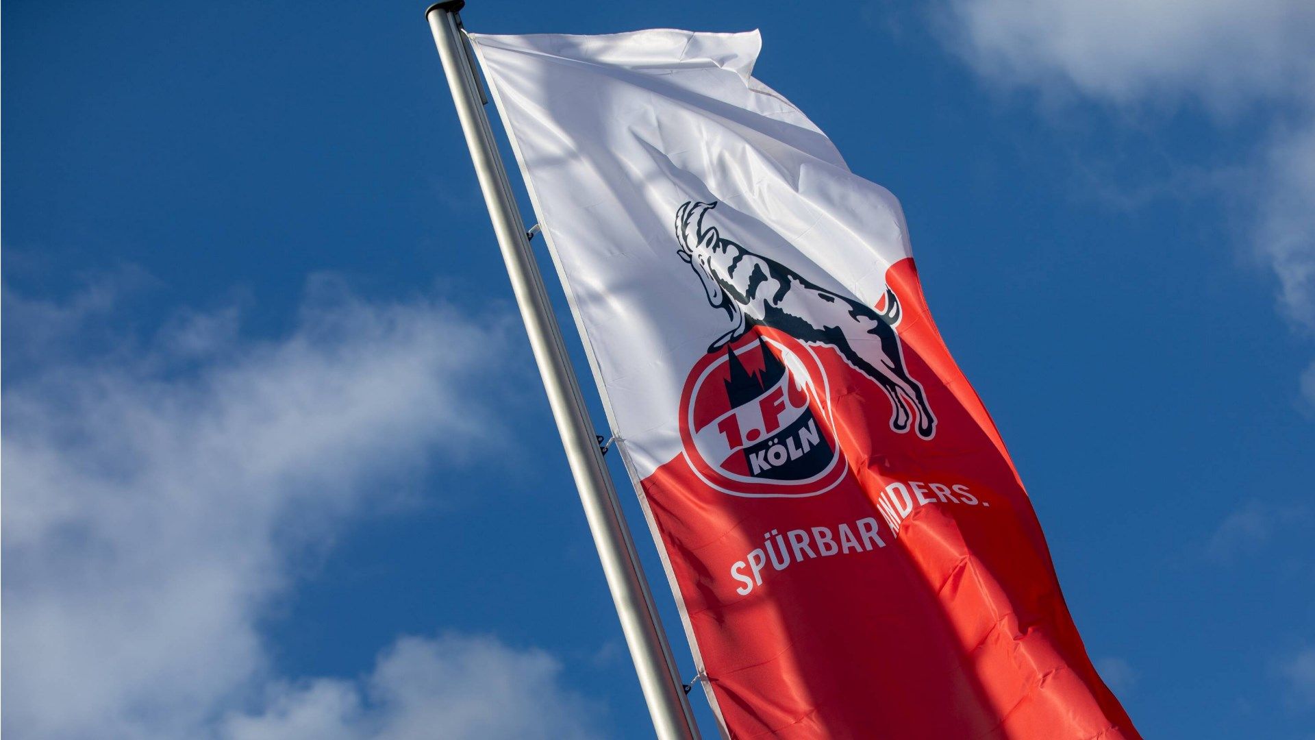 ONLY GERMANY 1 FC Koln flag