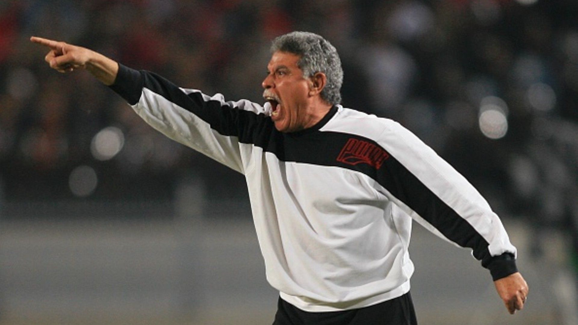 Hassan Shehata - egypt 2006