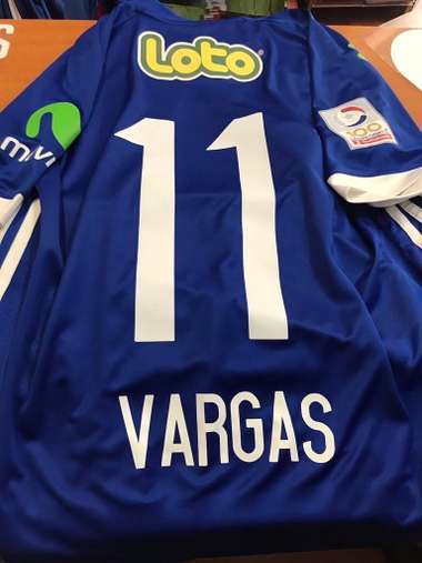 Vargas EMBED