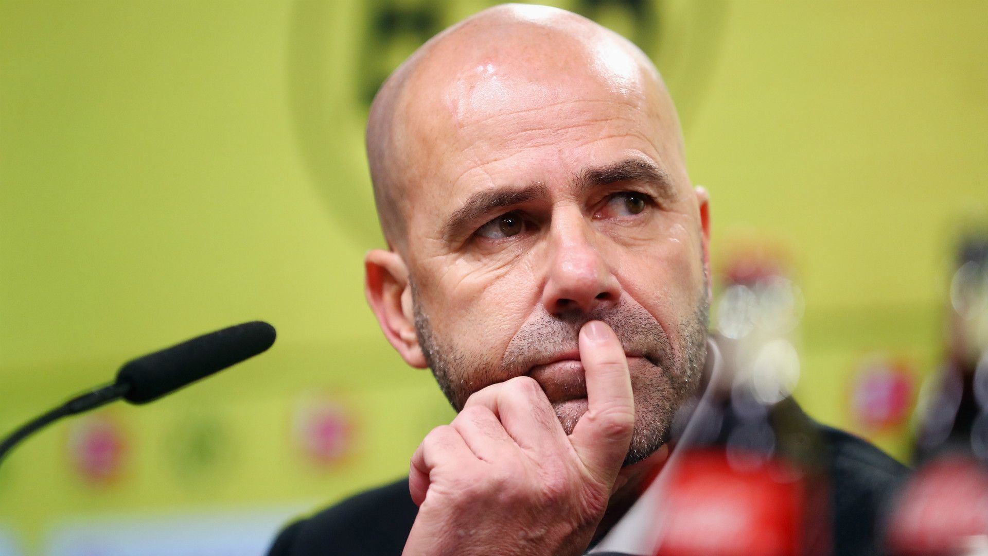 Peter Bosz Borussia Dortmund